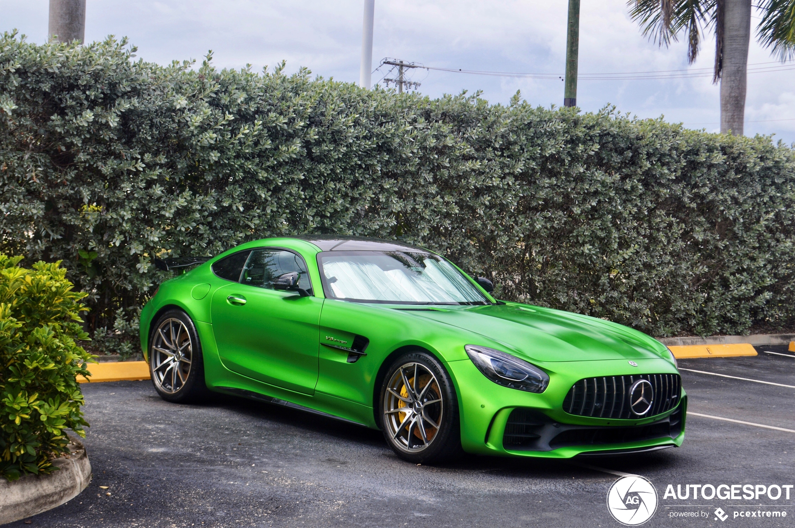 Mercedes-AMG GT R C190