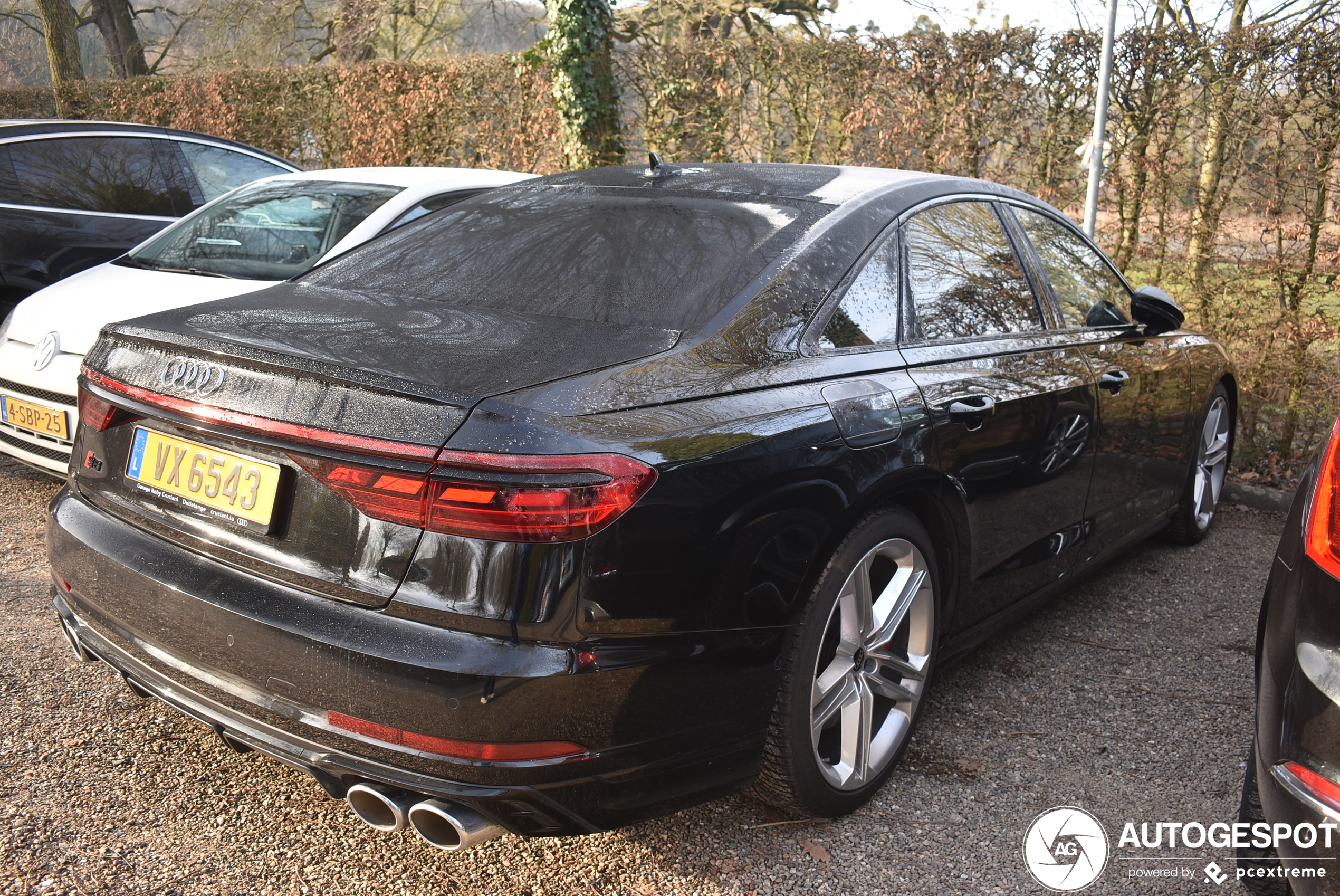 Audi S8 D5 2022