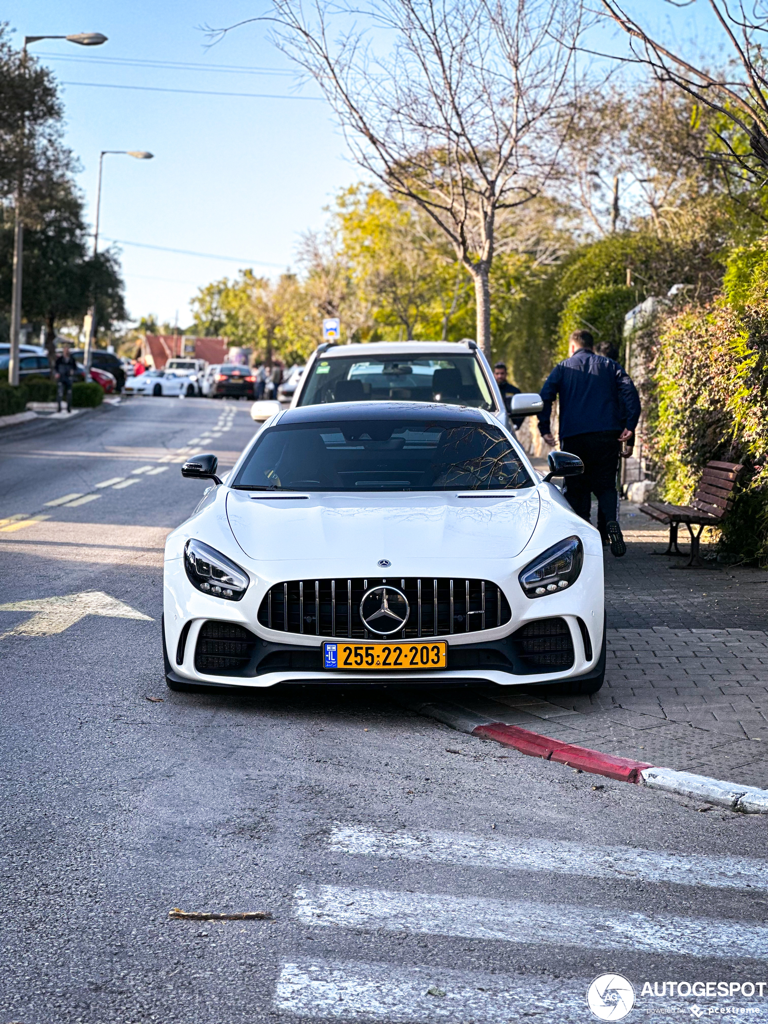 Mercedes-AMG GT R C190 2019