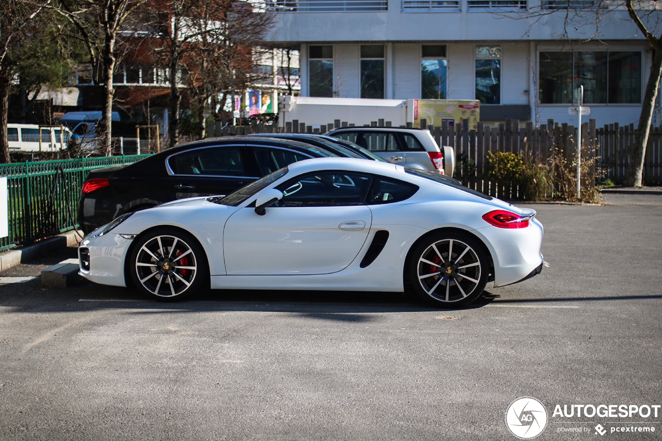 Porsche 981 Cayman S