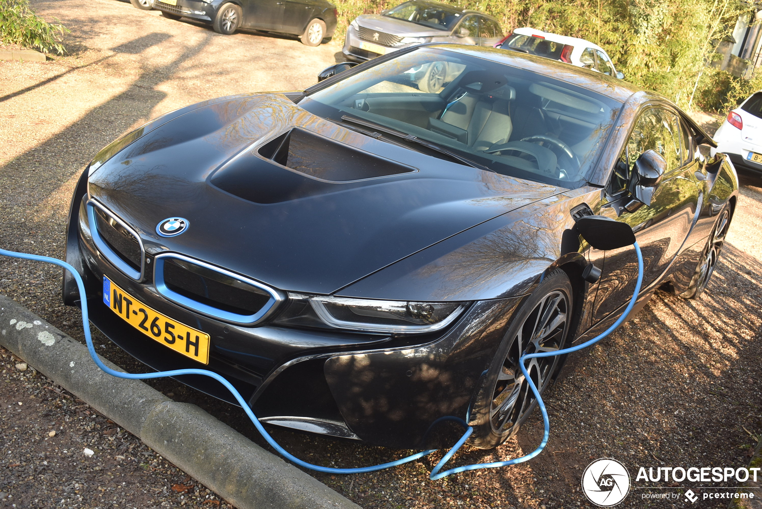 BMW i8