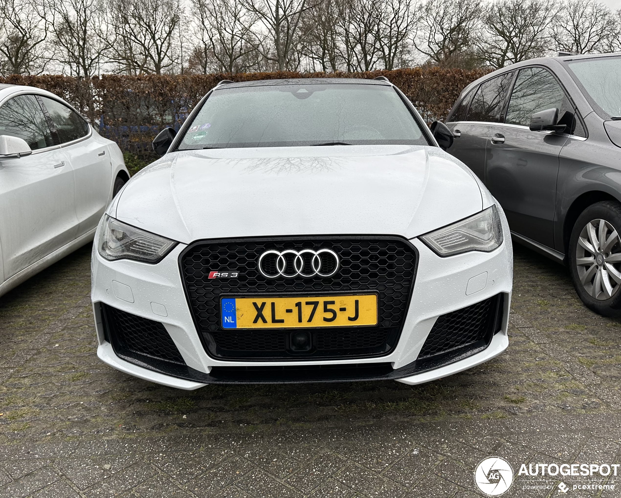 Audi RS3 Sportback 8V