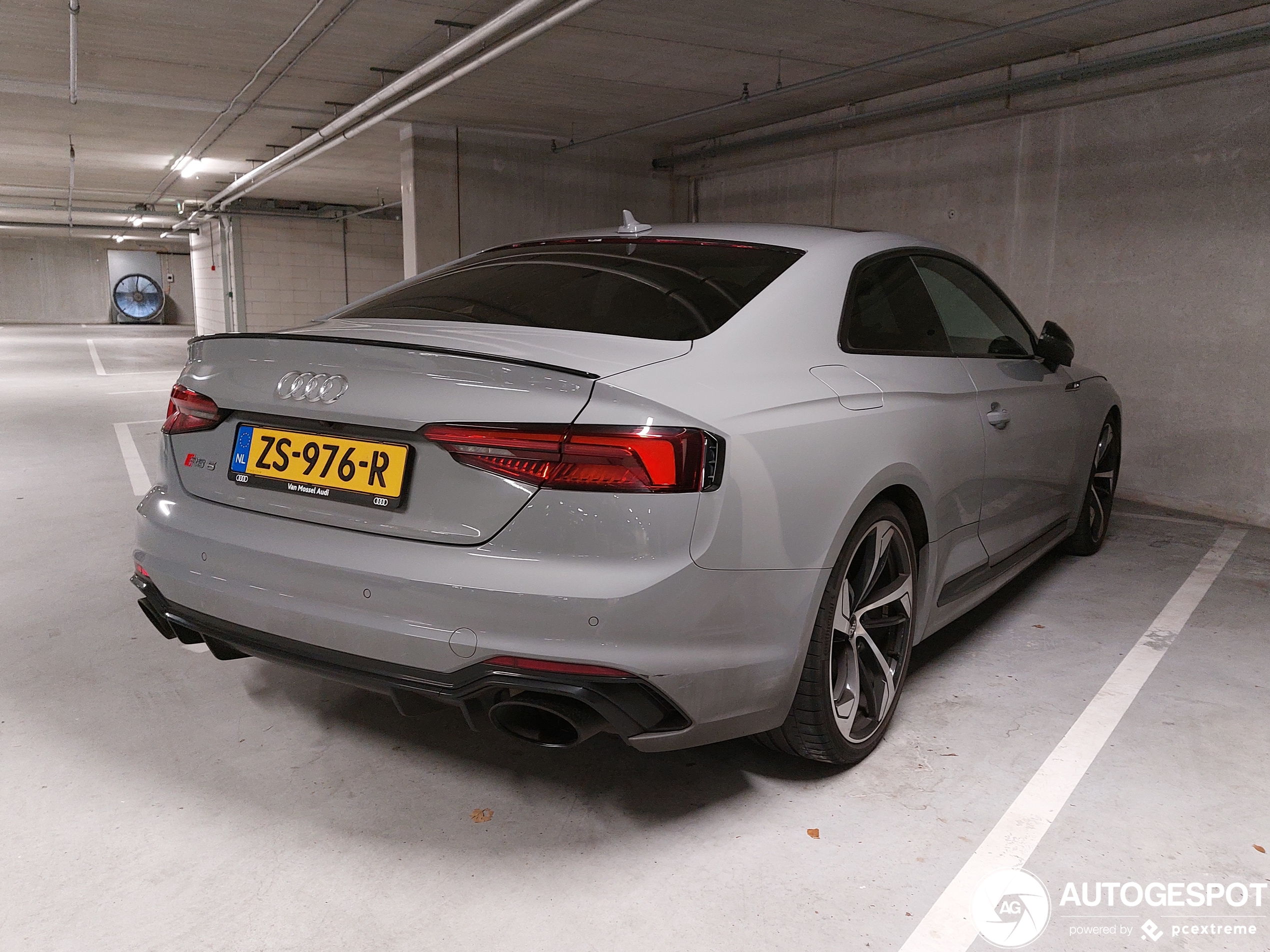 Audi RS5 B9