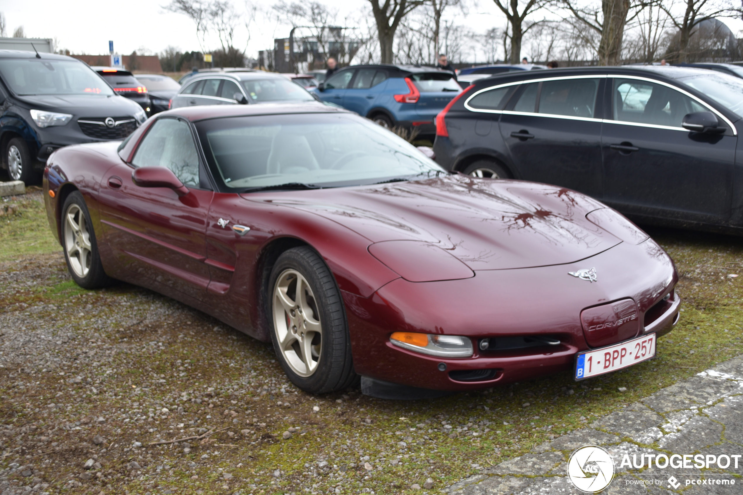 Chevrolet Corvette C5 50th Anniversary