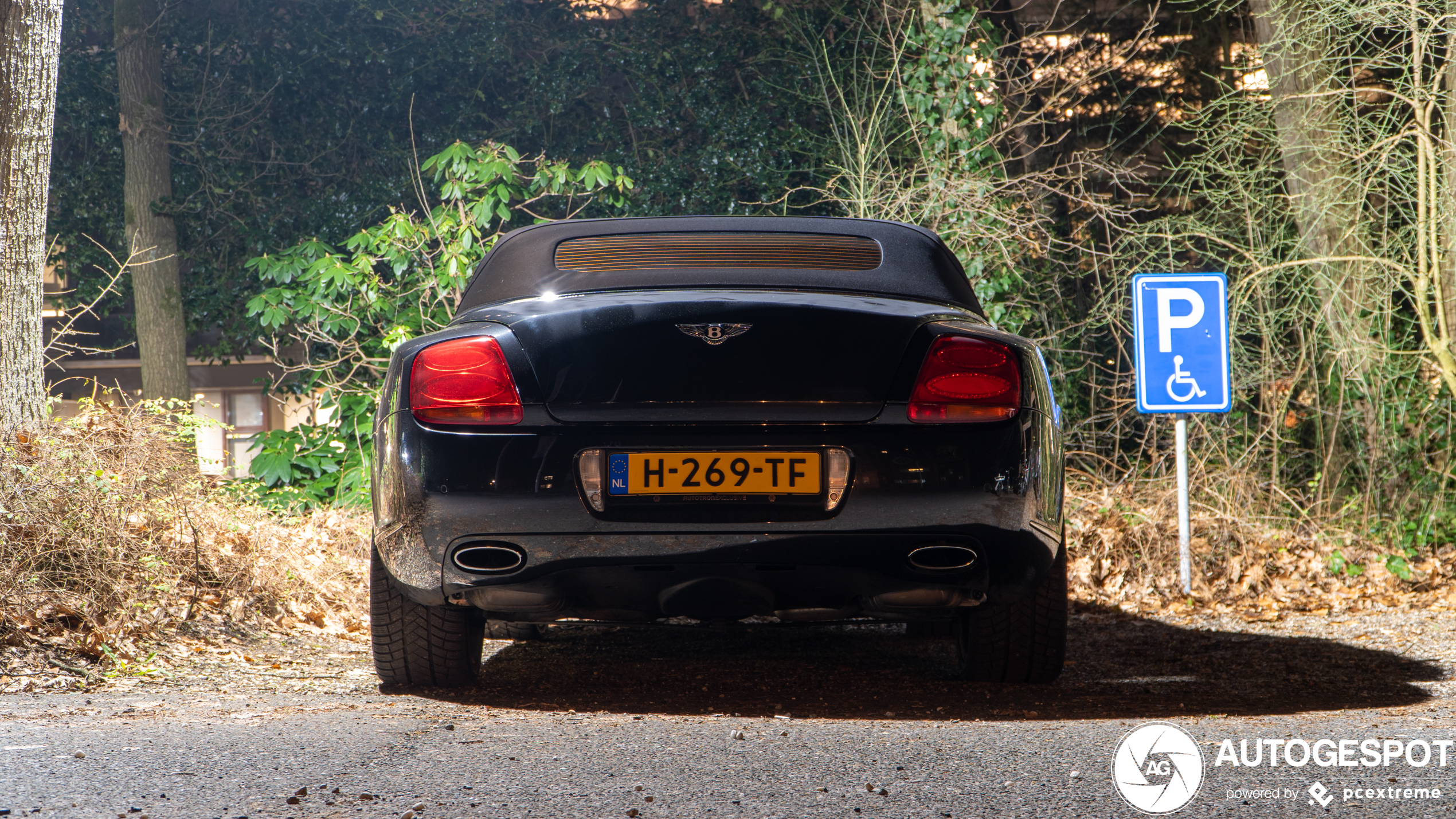 Bentley Continental GTC