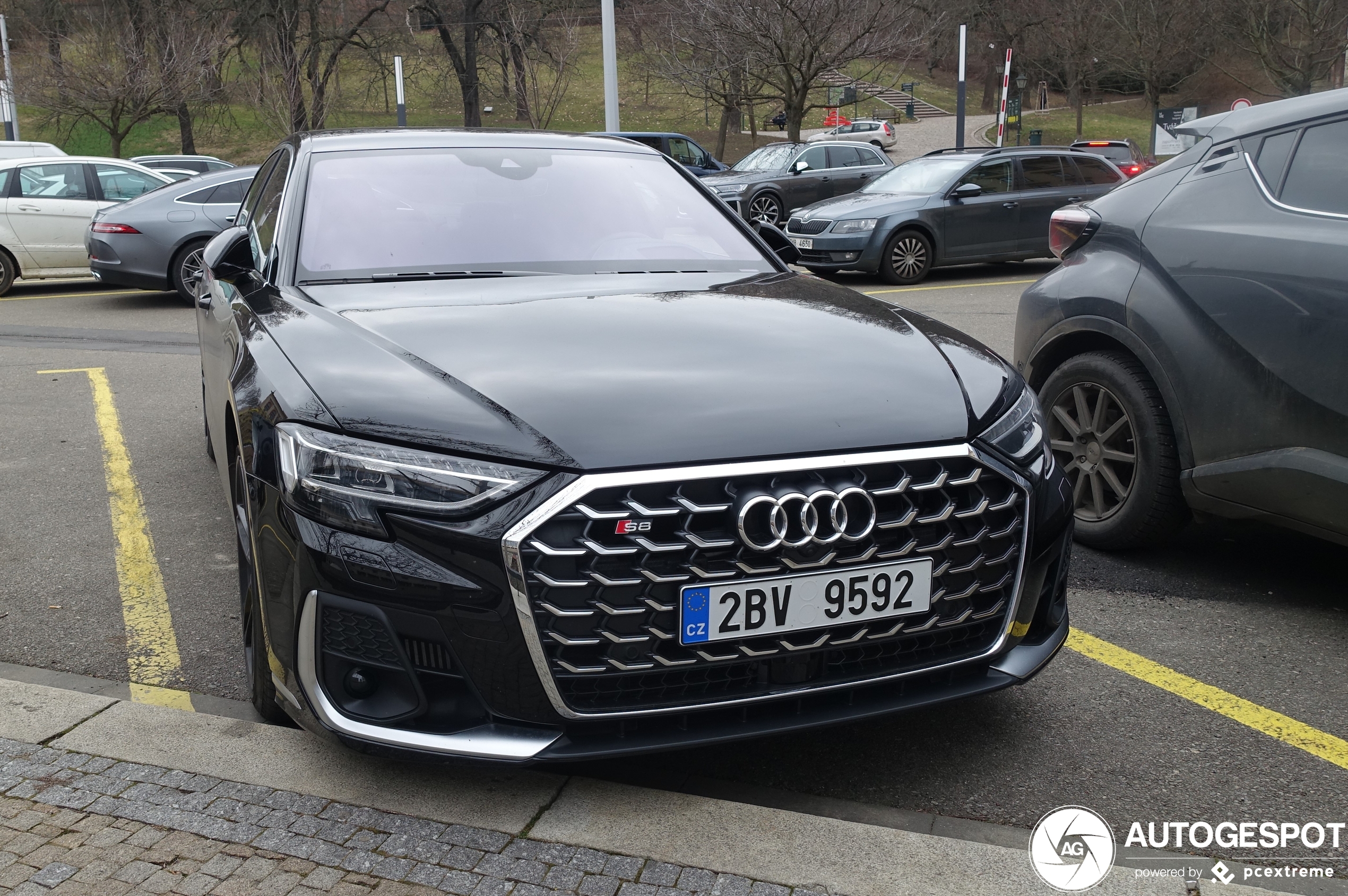 Audi S8 D5 2022