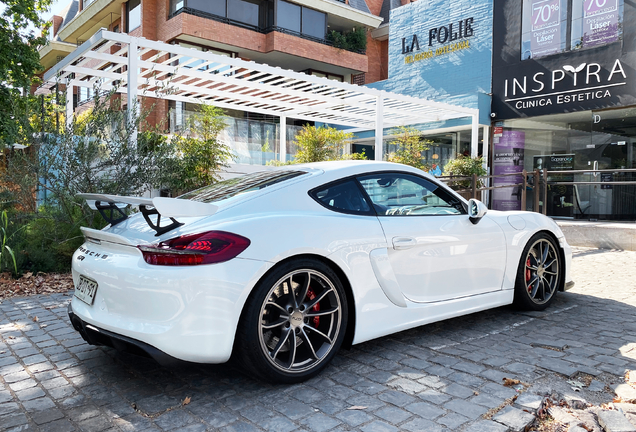 Porsche 981 Cayman GT4