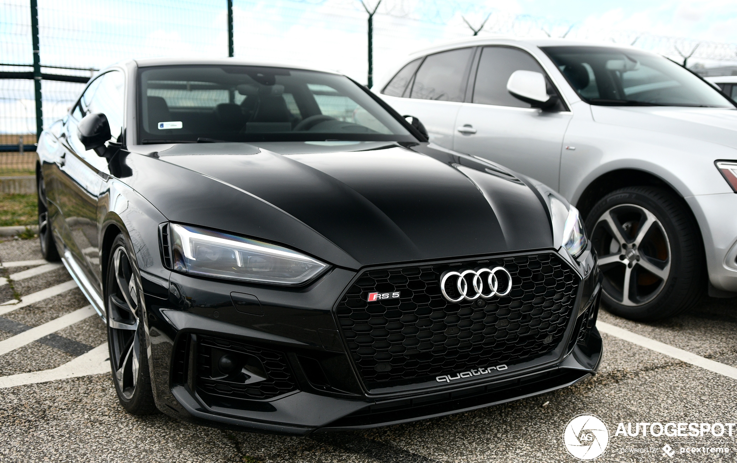 Audi RS5 B9