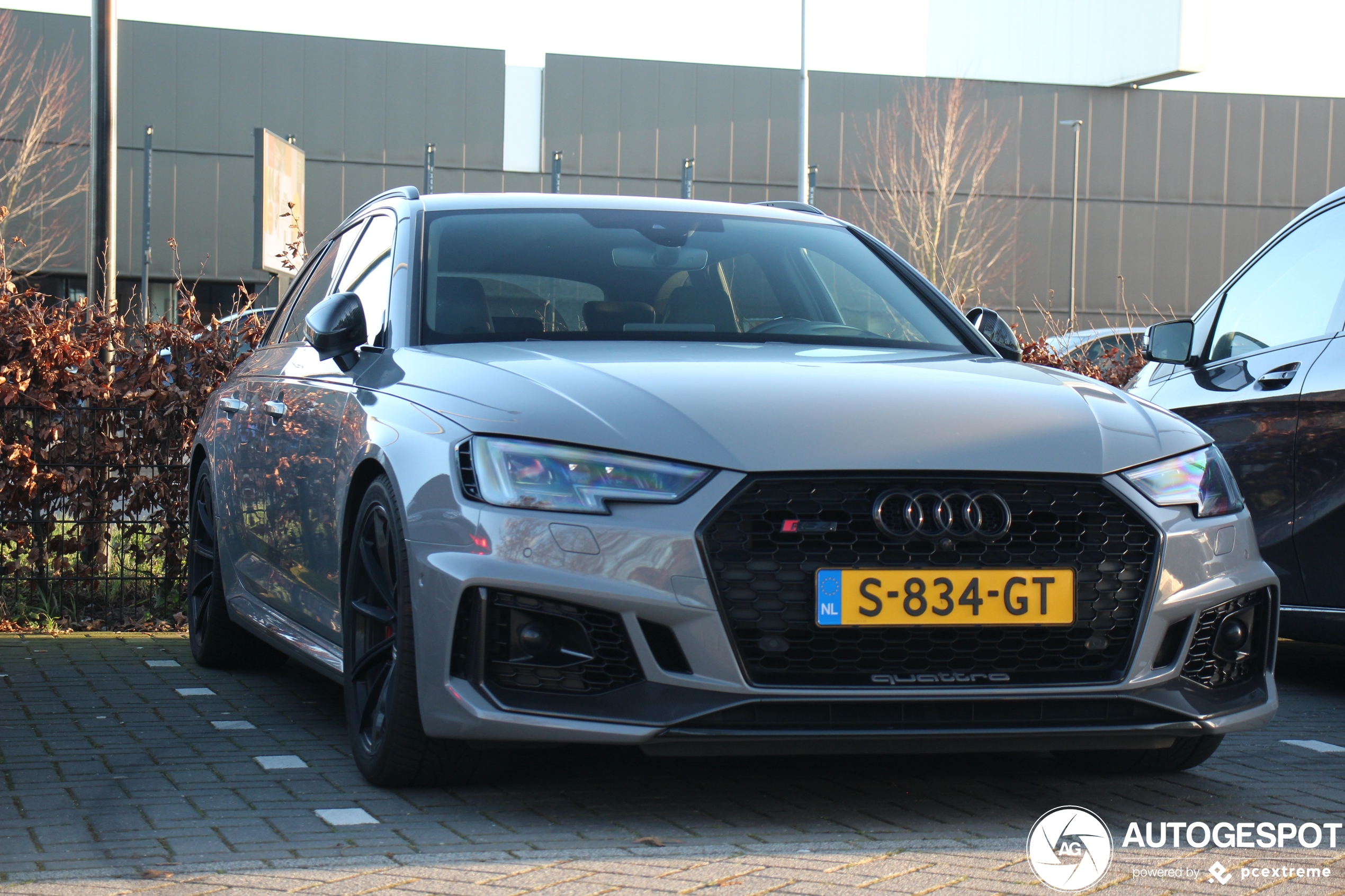 Audi RS4 Avant B9