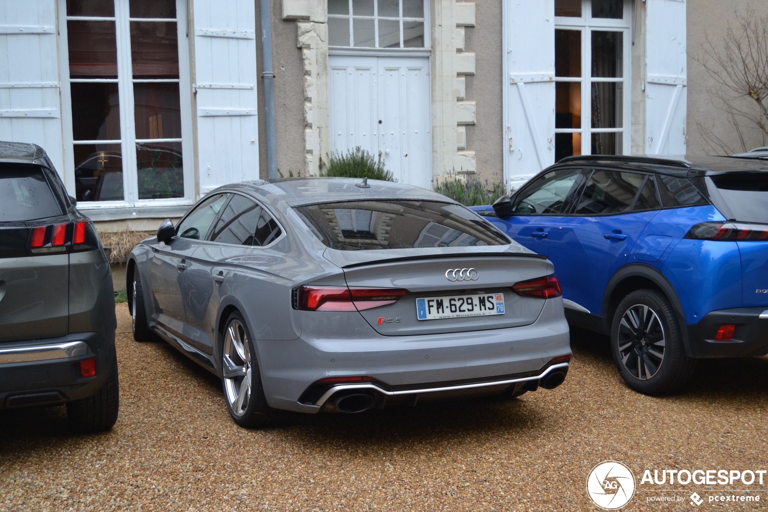 Audi RS5 Sportback B9