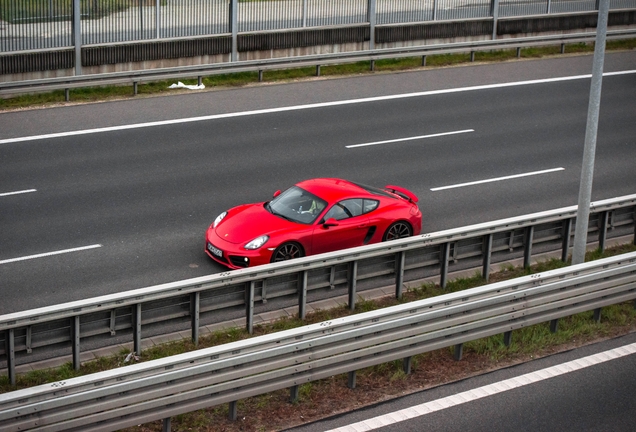 Porsche 981 Cayman S