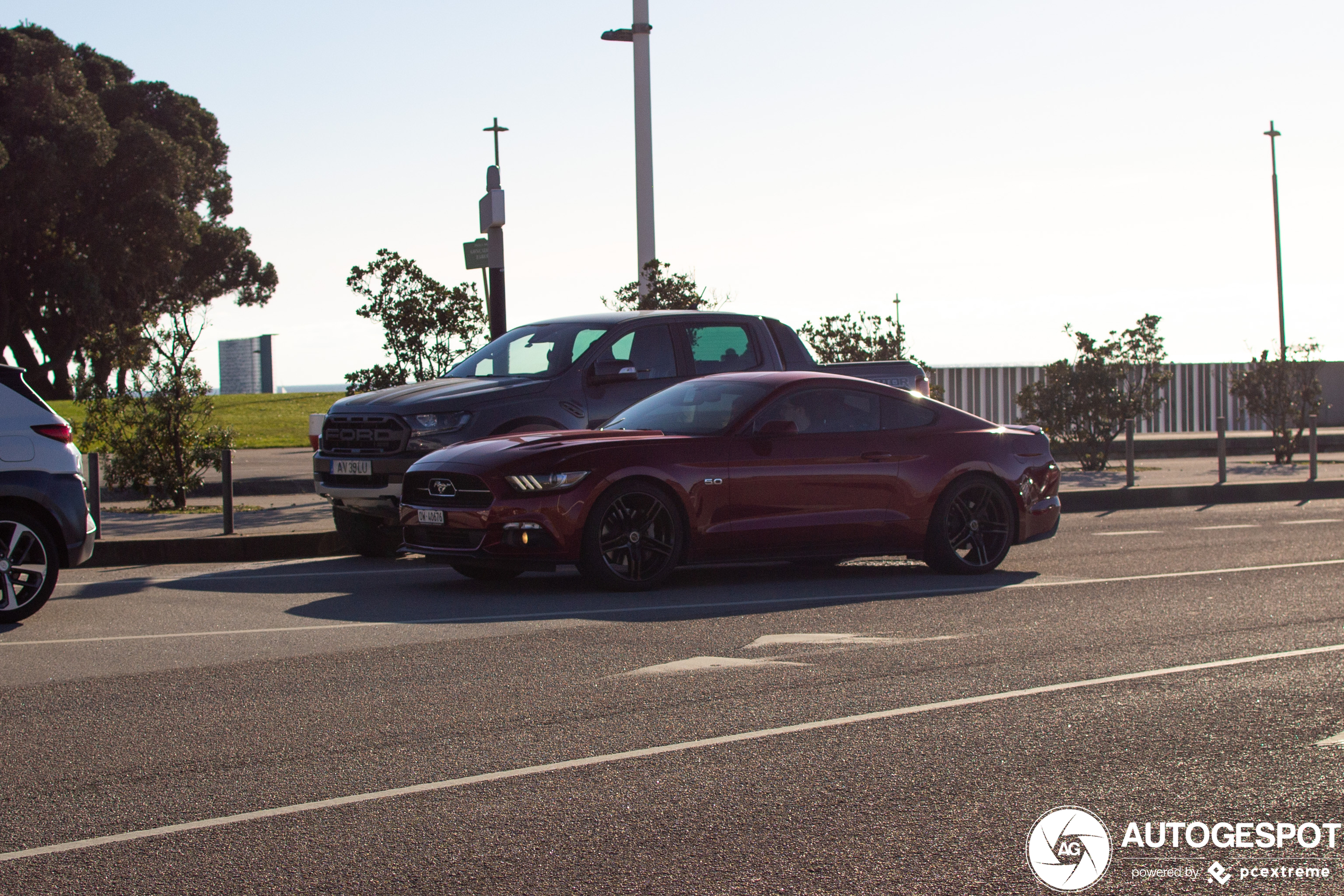 Ford Mustang GT 50th Anniversary Edition