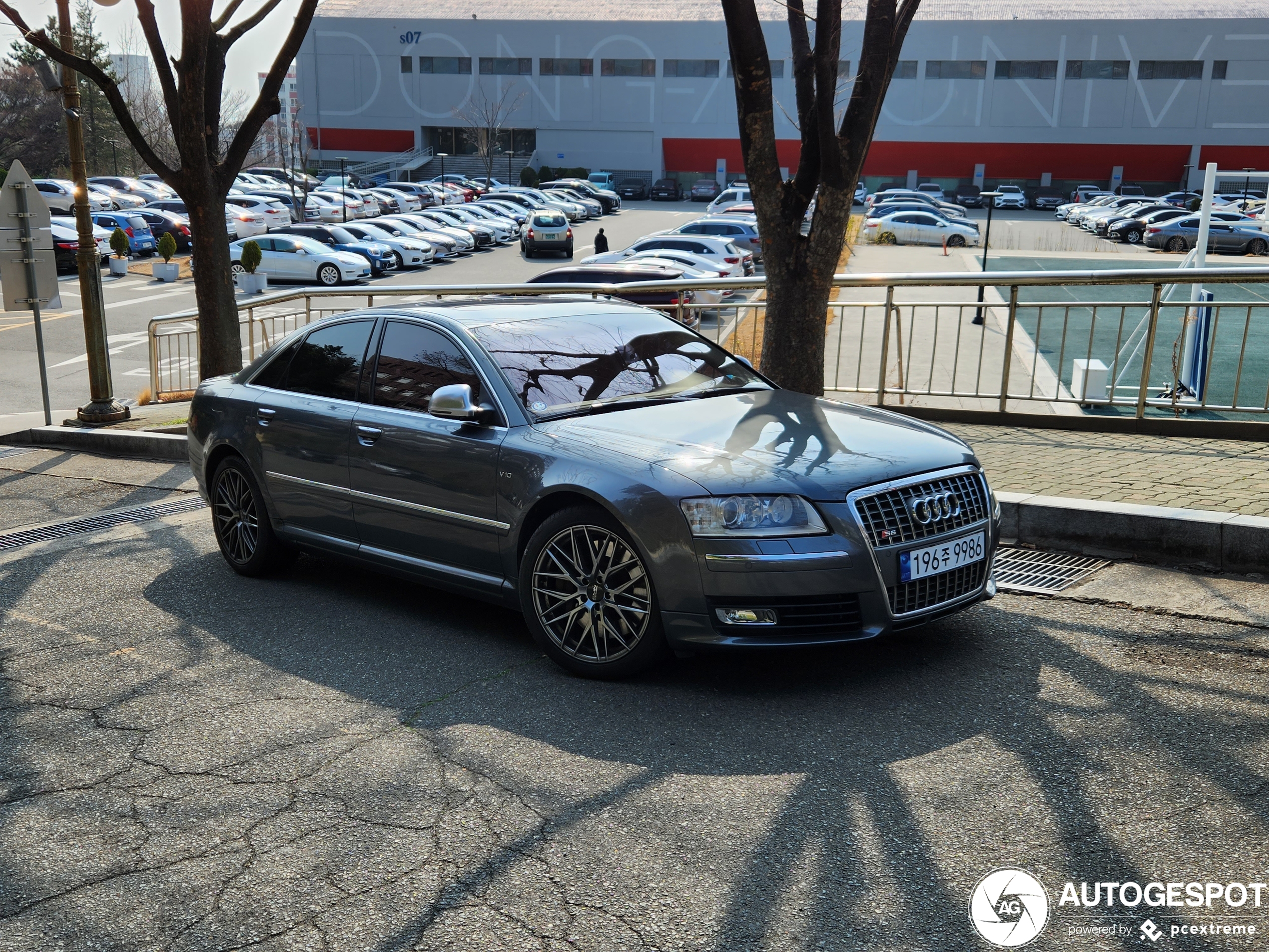 Audi S8 D3