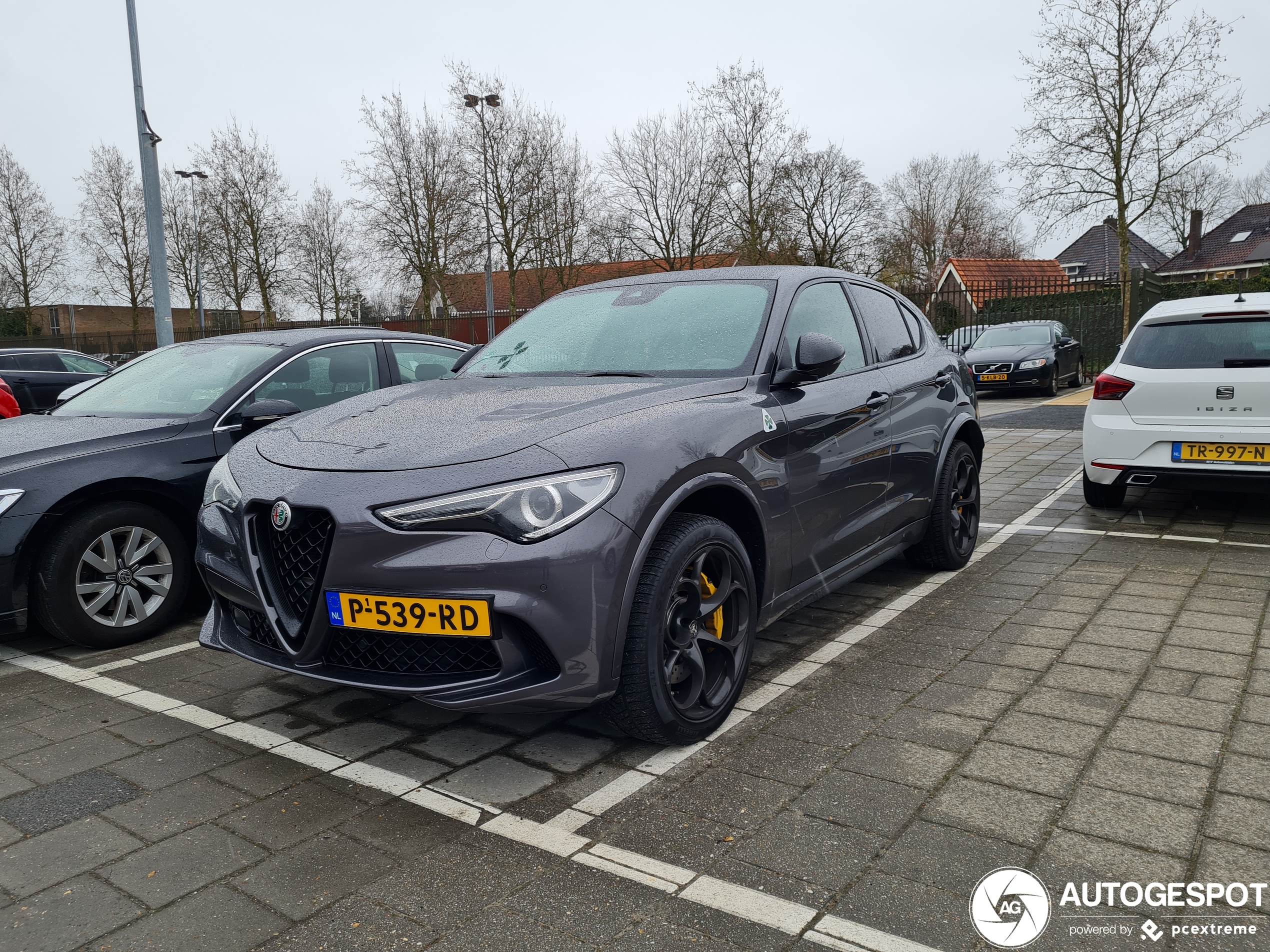 Alfa Romeo Stelvio Quadrifoglio