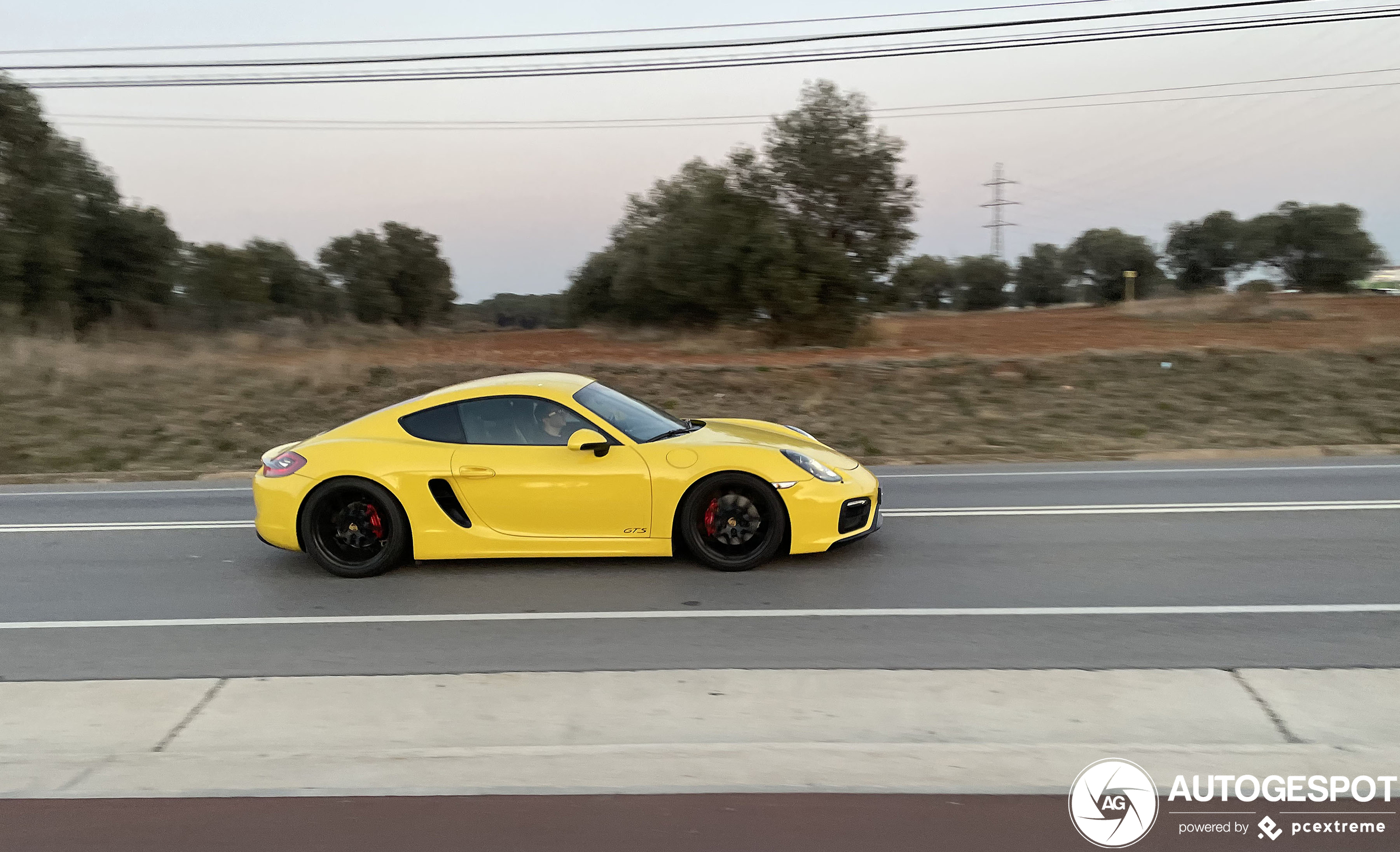 Porsche 981 Cayman GTS