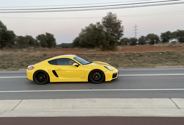 Porsche 981 Cayman GTS