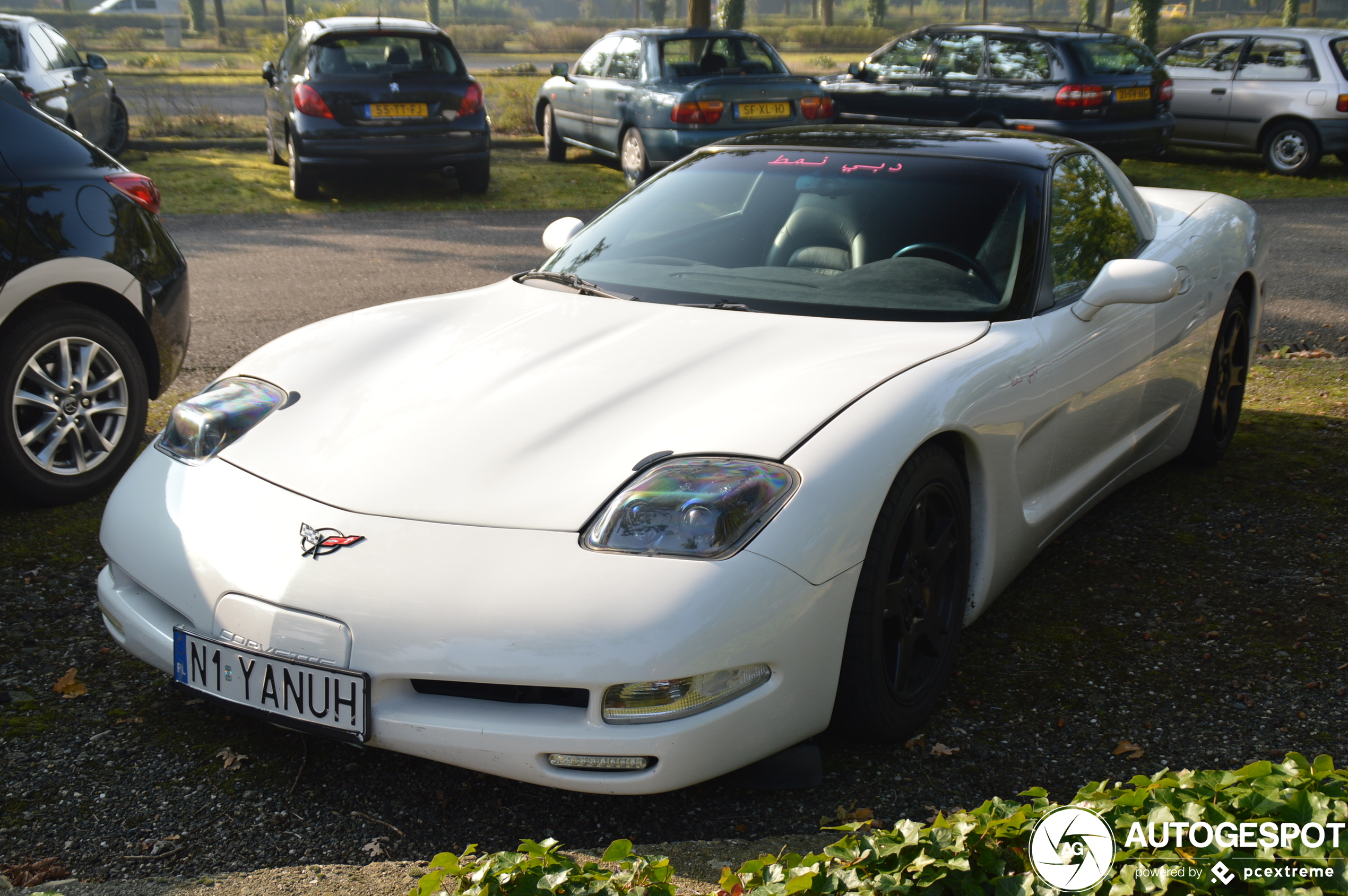 Chevrolet Corvette C5