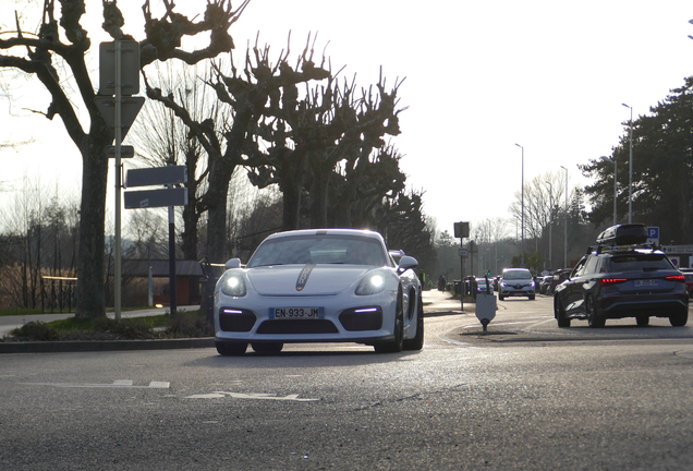 Porsche 981 Cayman GT4