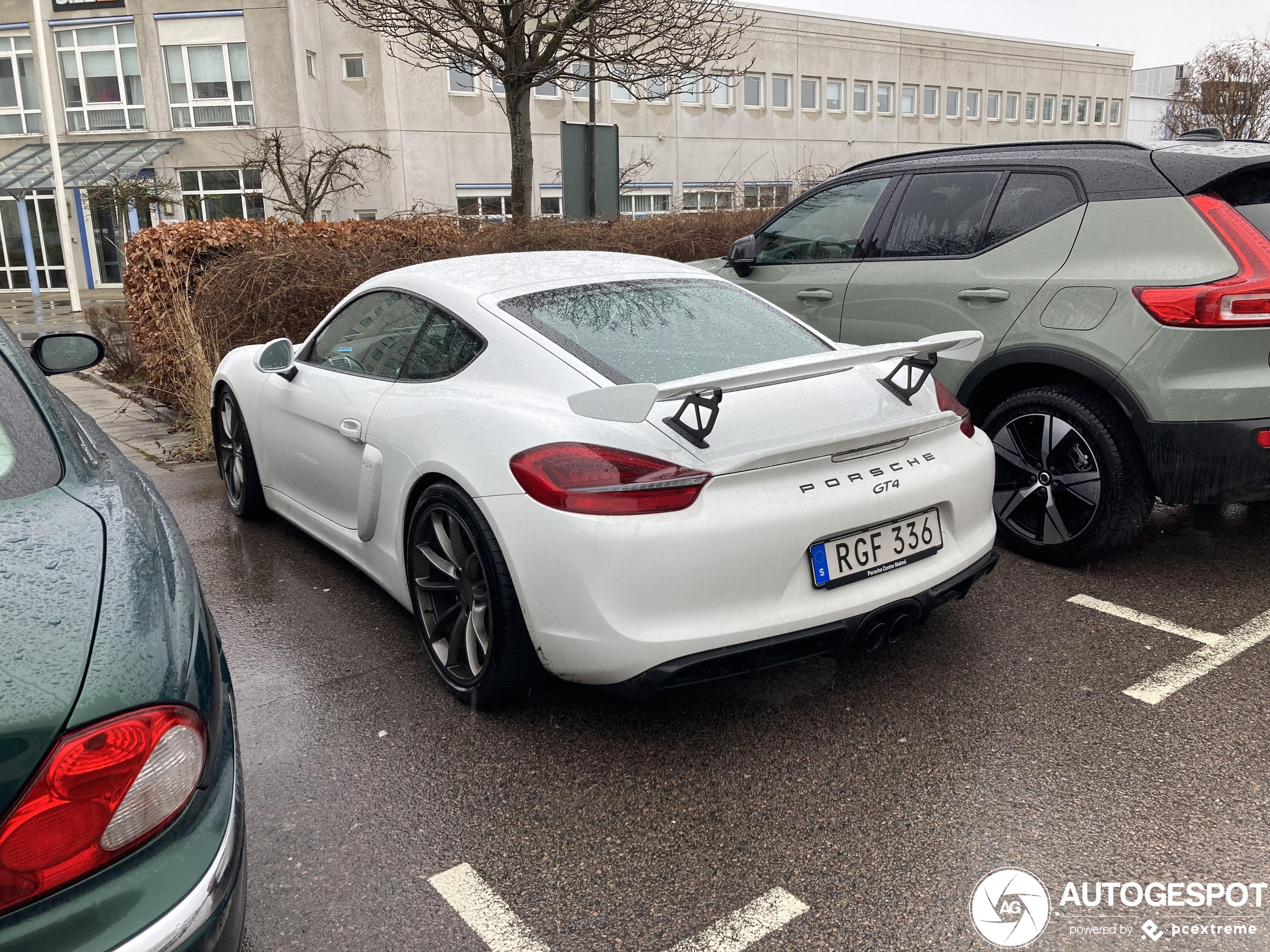 Porsche 981 Cayman GT4