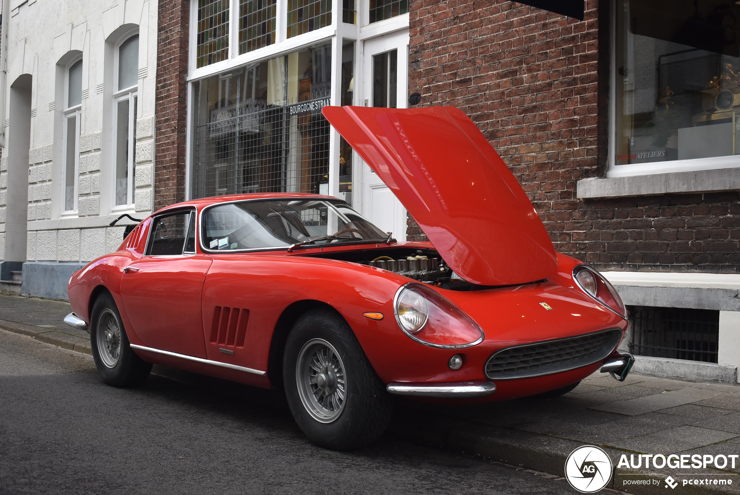 Ferrari 275 GTB Shortnose