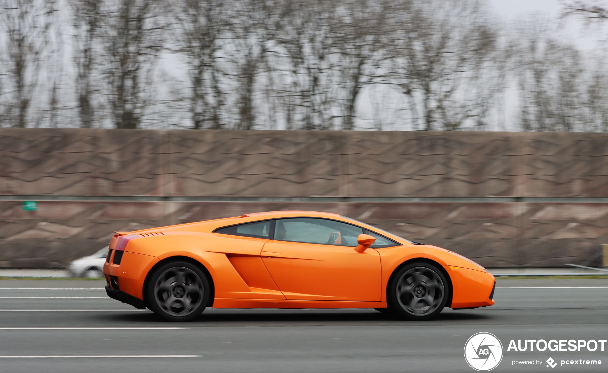 Lamborghini Gallardo