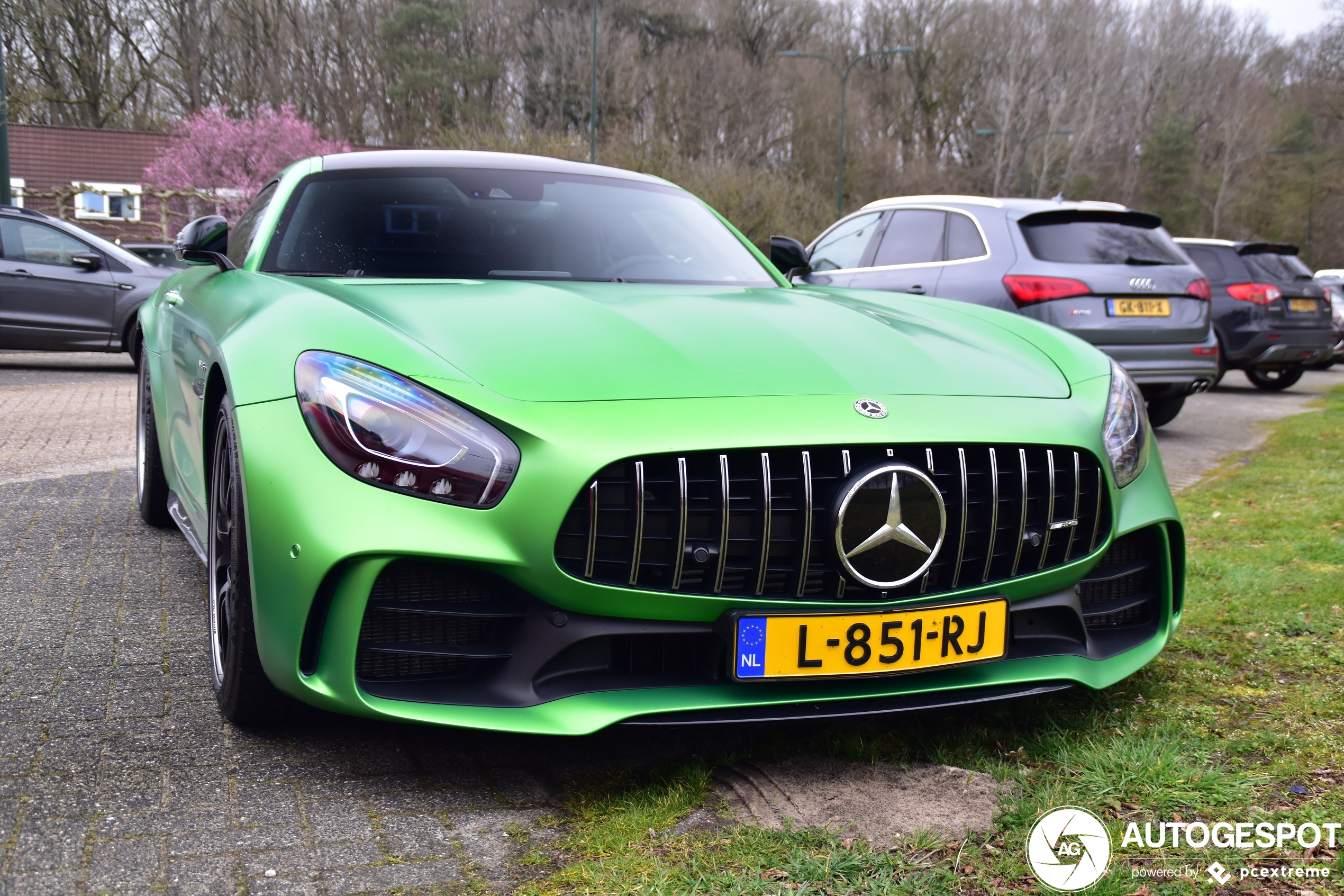 Mercedes-AMG GT R C190