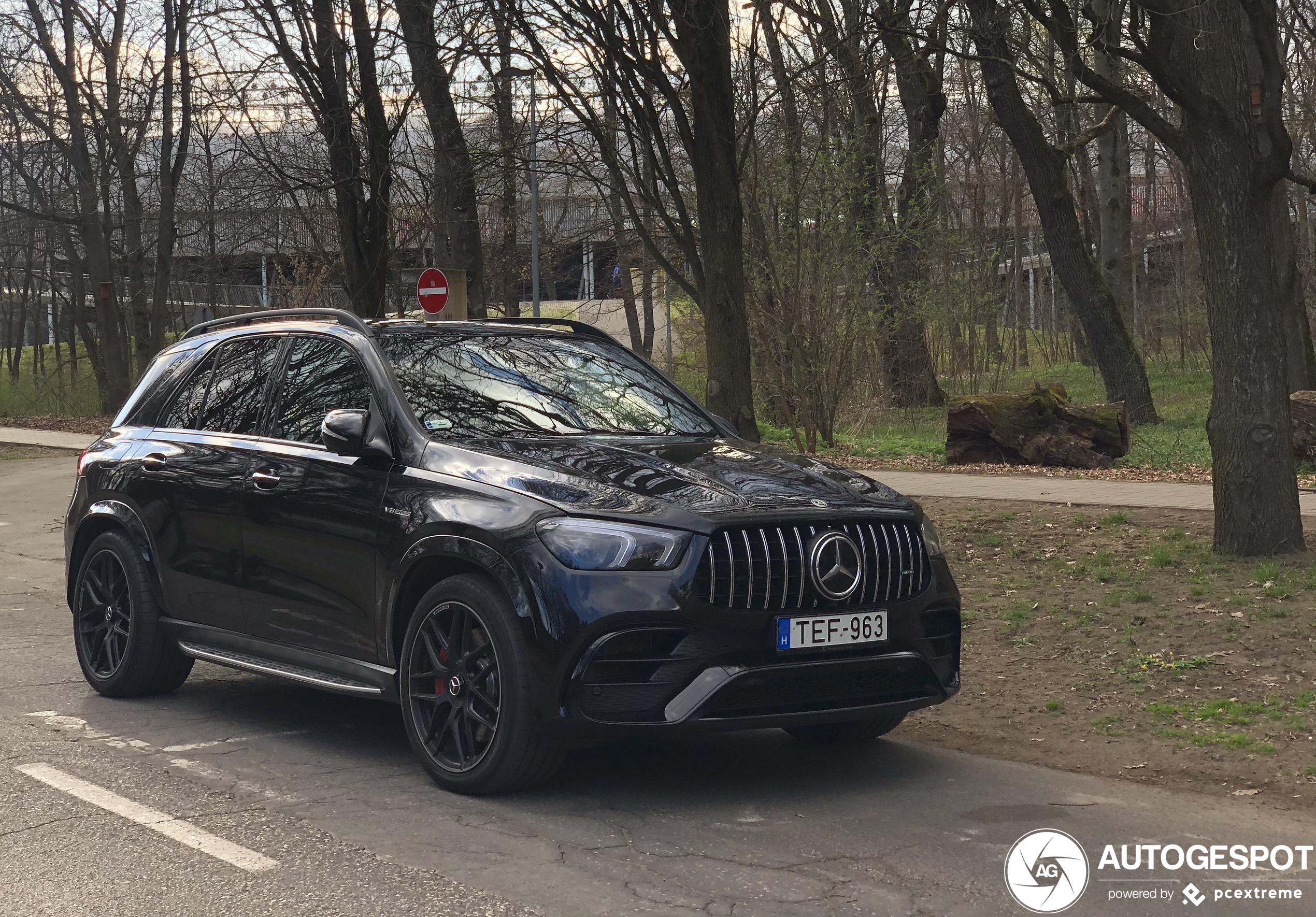 Mercedes-AMG GLE 63 S W167