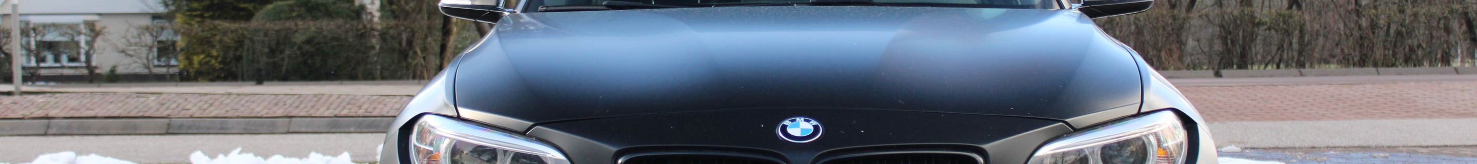 BMW M2 Coupé F87