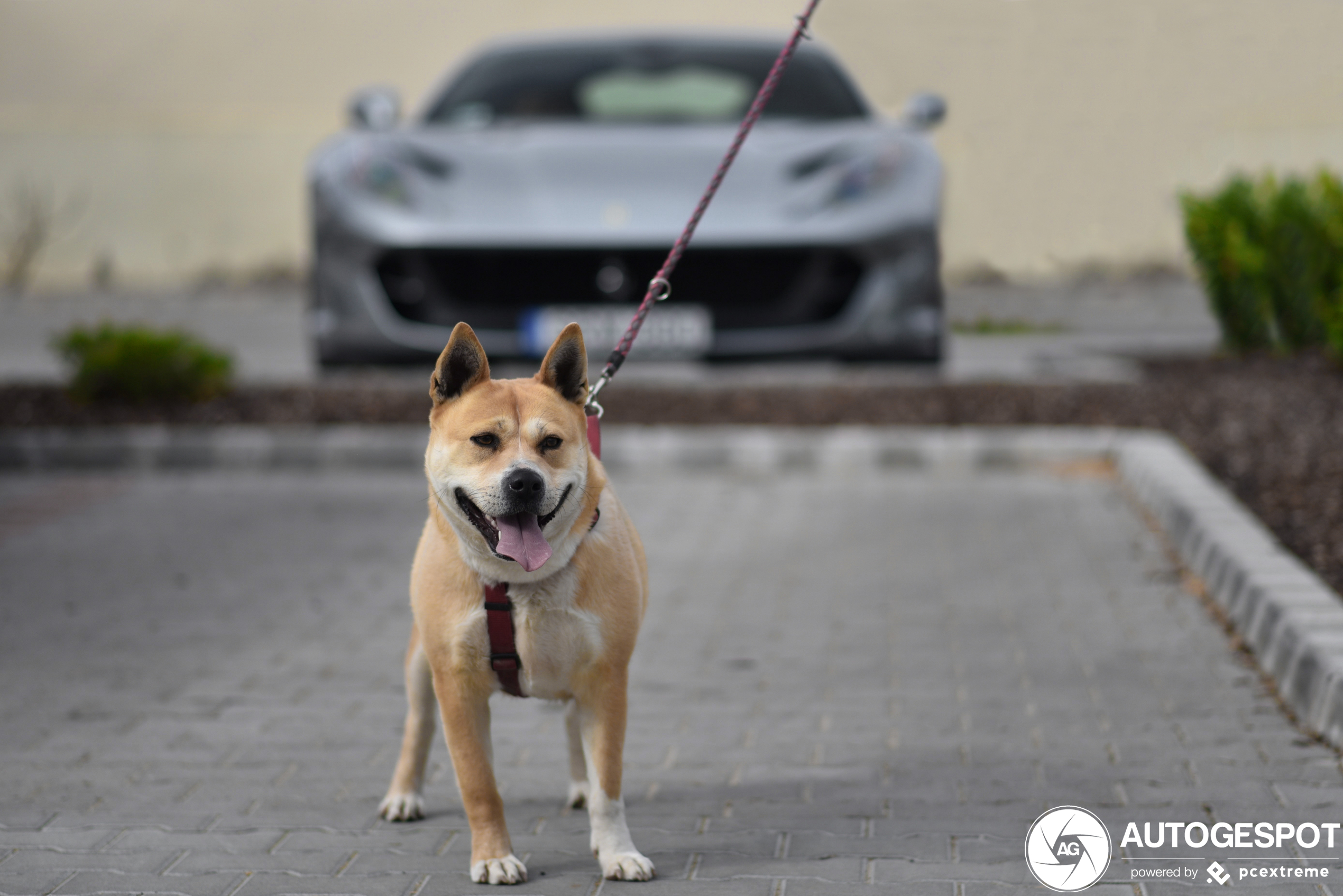 Ferrari 812 Superfast