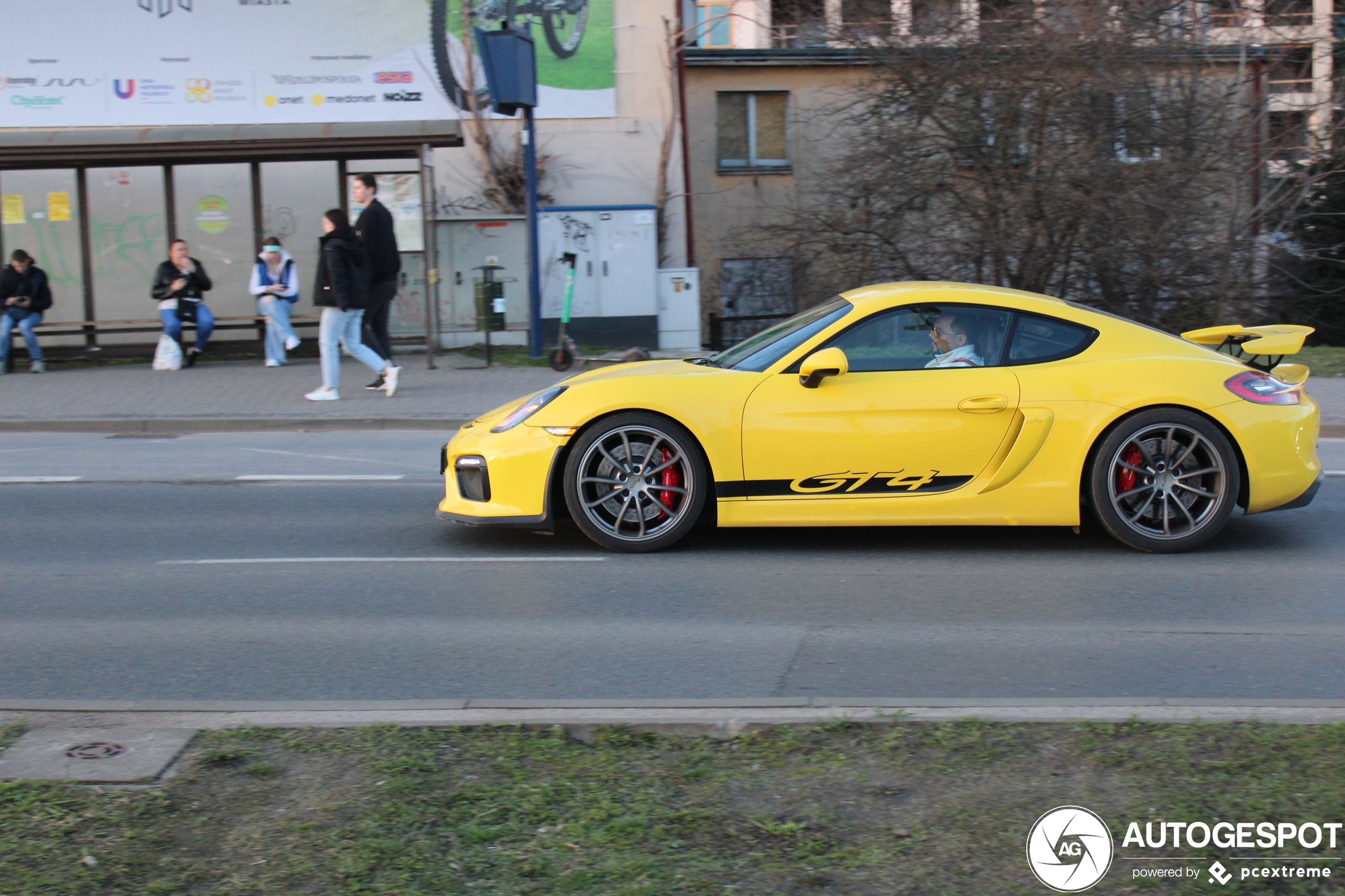 Porsche 981 Cayman GT4