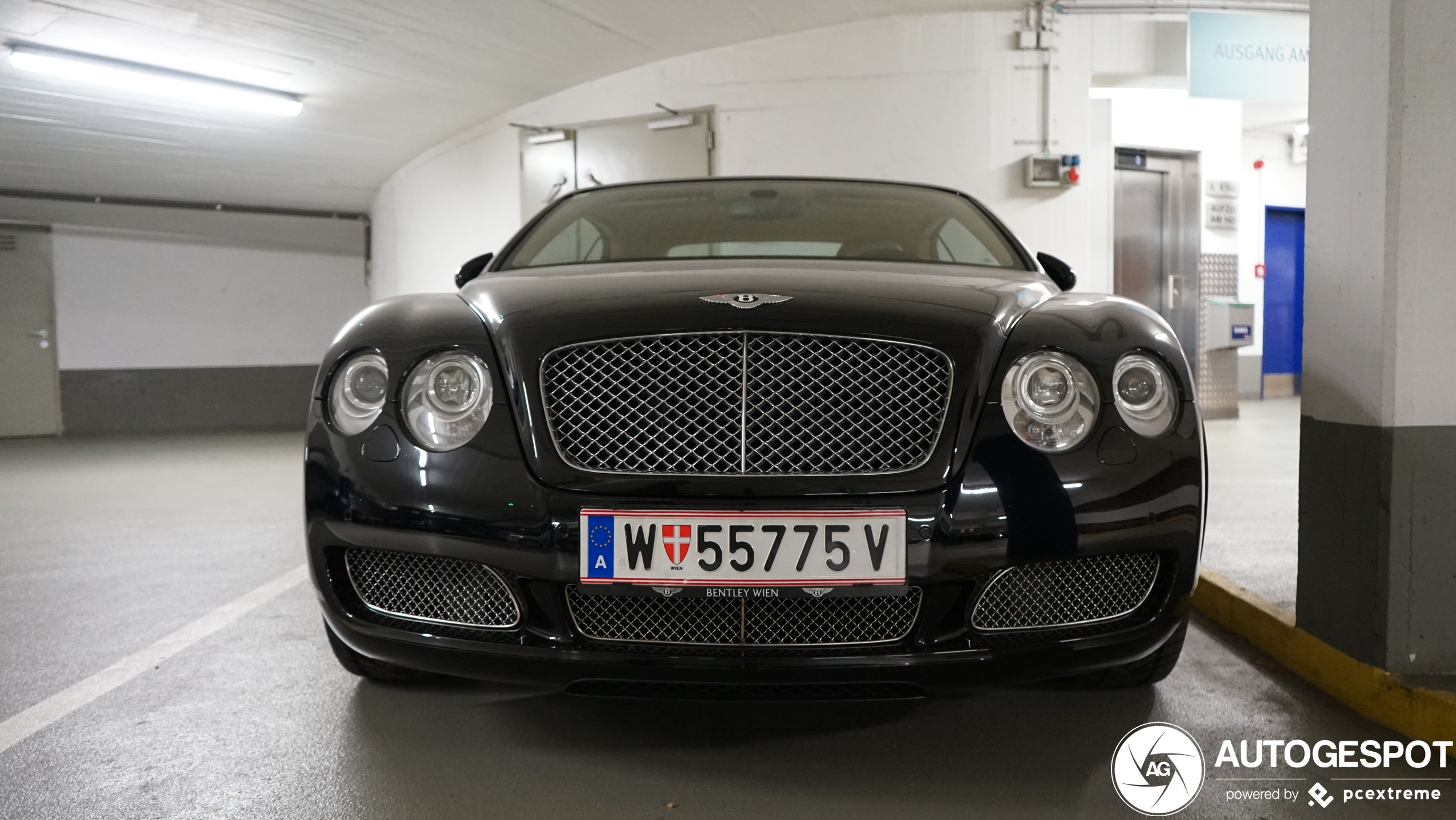 Bentley Continental GTC