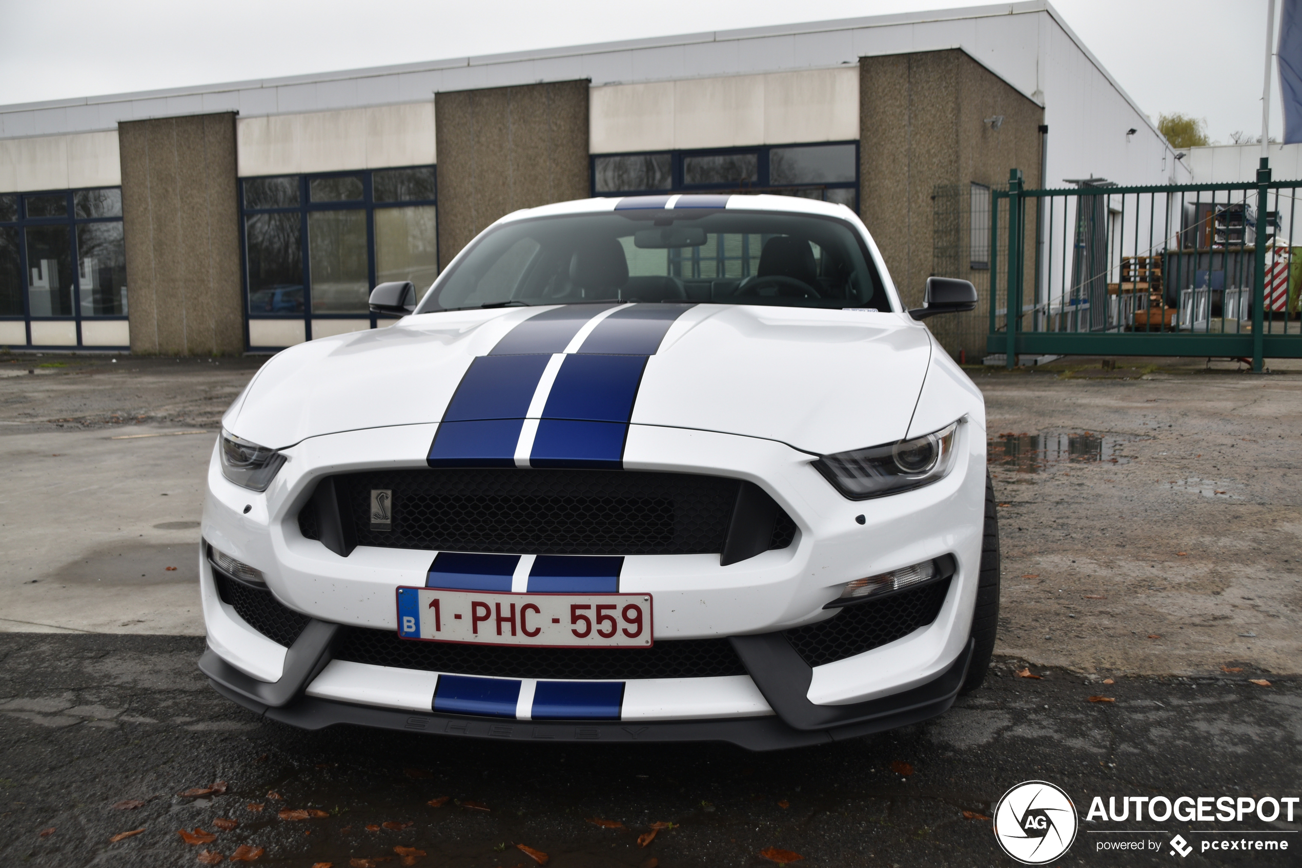 Ford Mustang Shelby GT350 2015