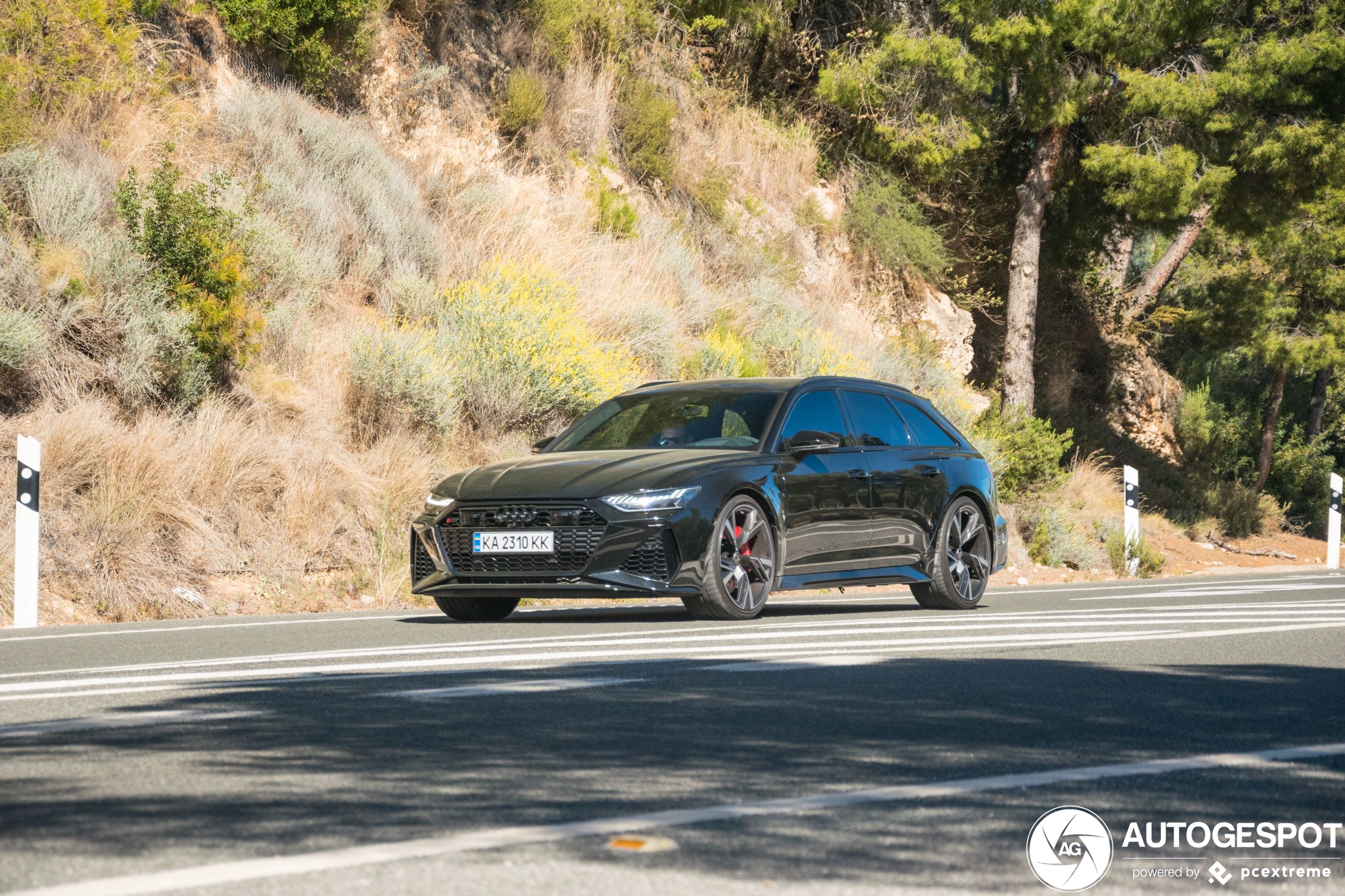 Audi RS6 Avant C8