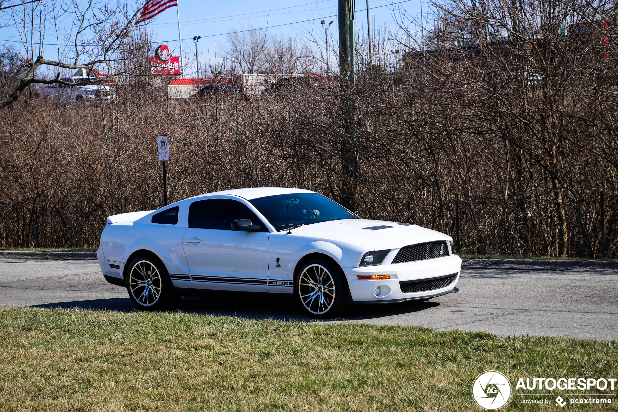 Ford Mustang Shelby GT500