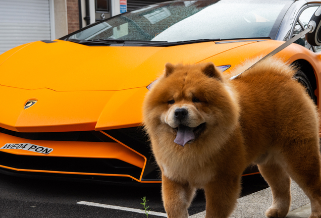 Lamborghini Aventador LP750-4 SuperVeloce Roadster