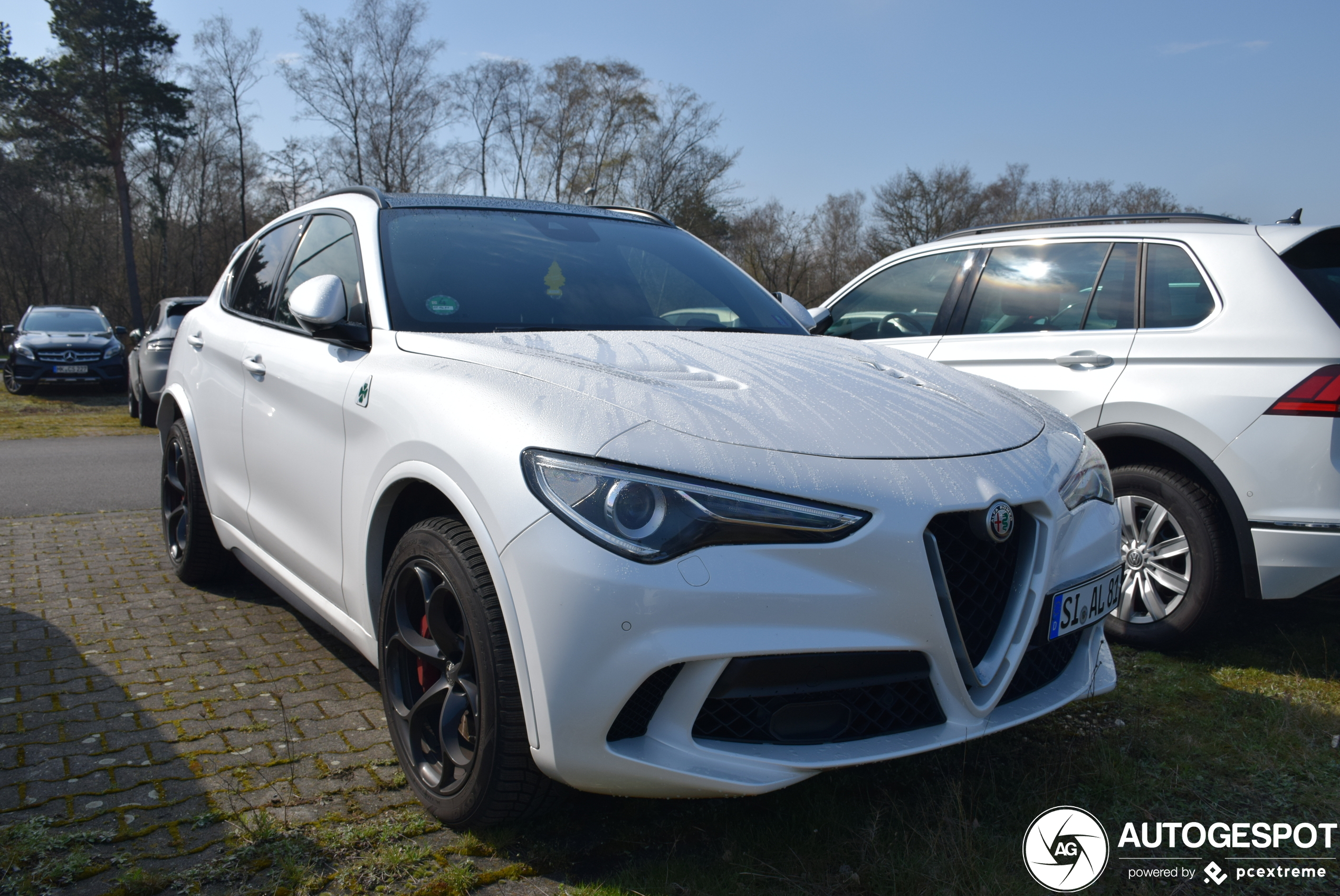 Alfa Romeo Stelvio Quadrifoglio