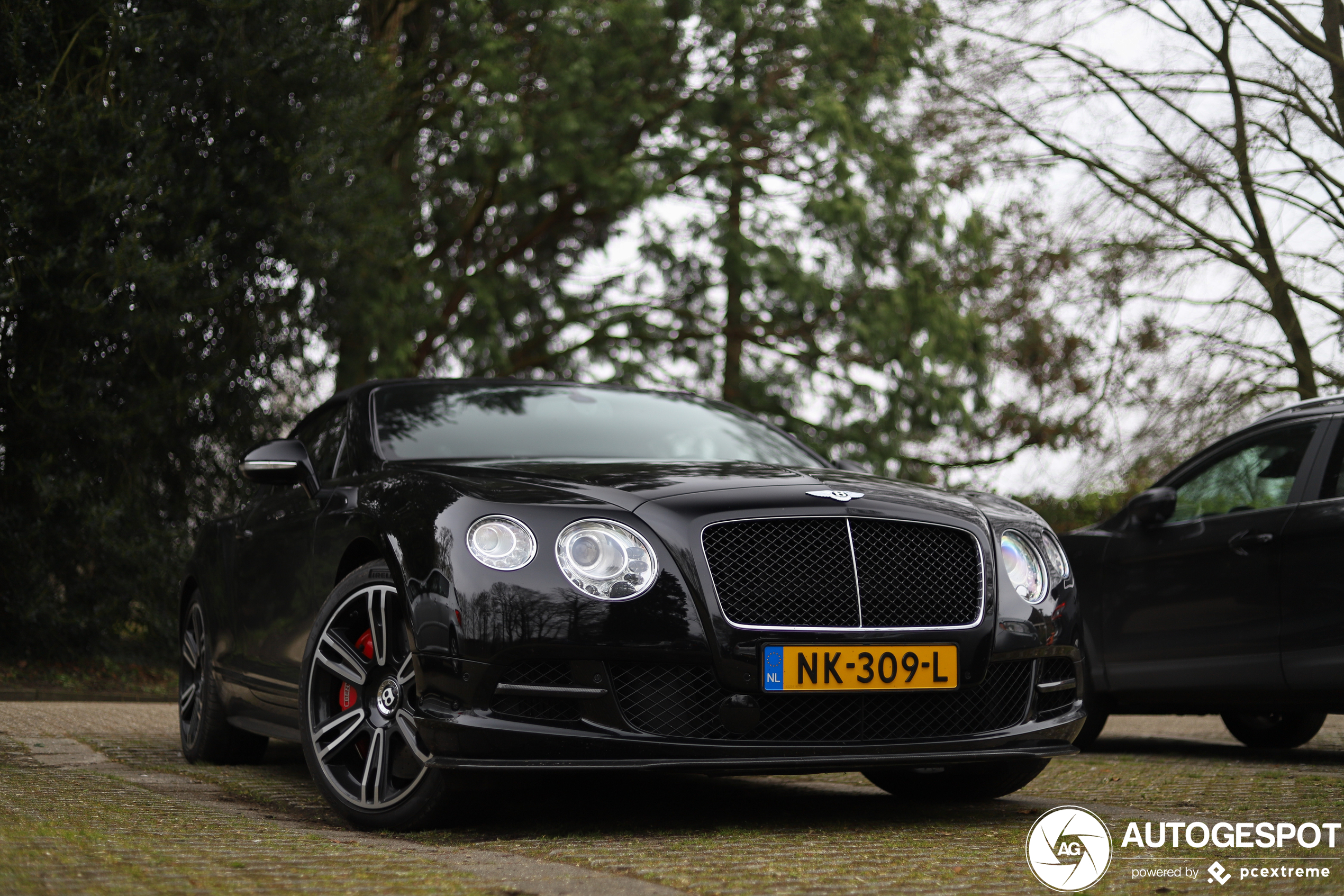 Bentley Continental GTC Speed 2013