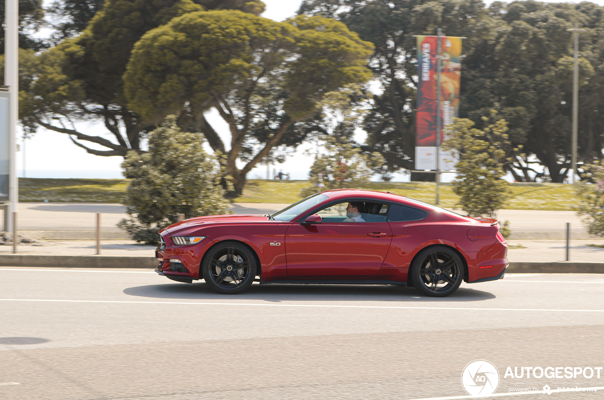 Ford Mustang GT 50th Anniversary Edition