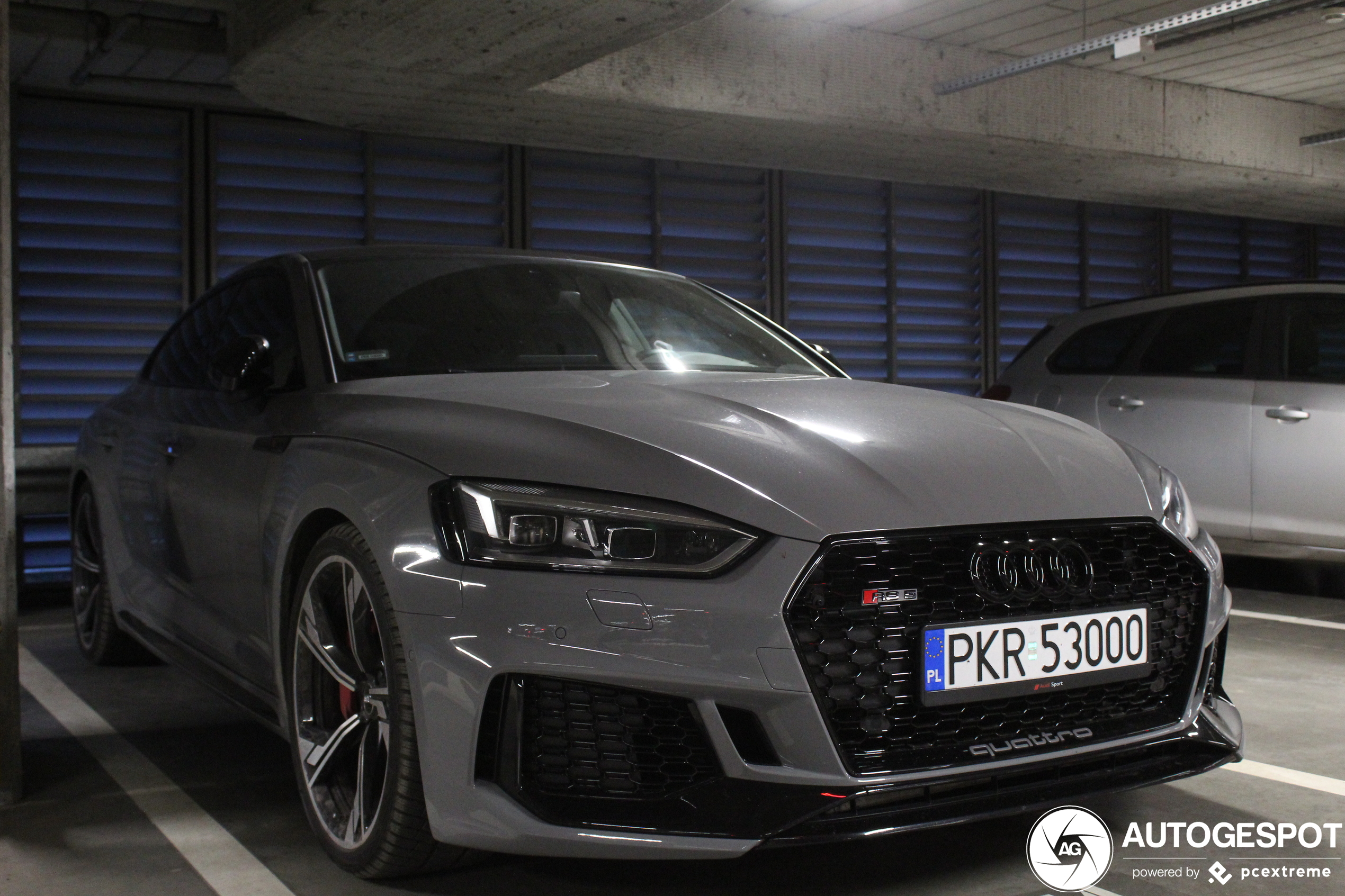 Audi RS5 Sportback B9