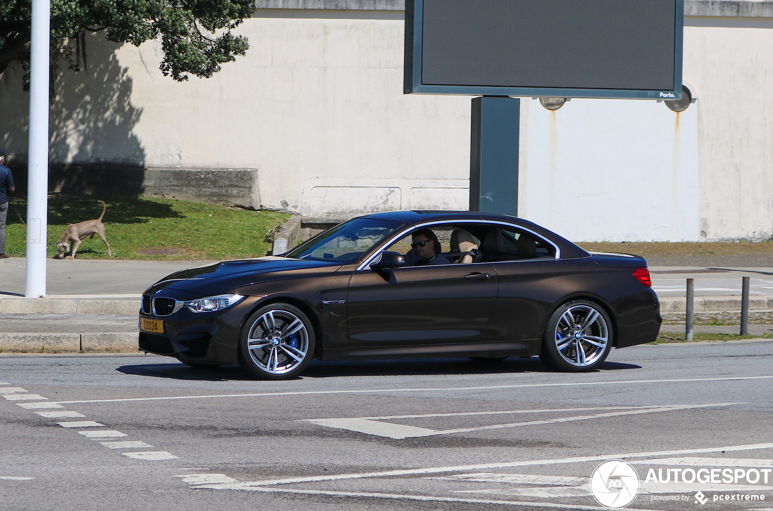 BMW M4 F83 Convertible