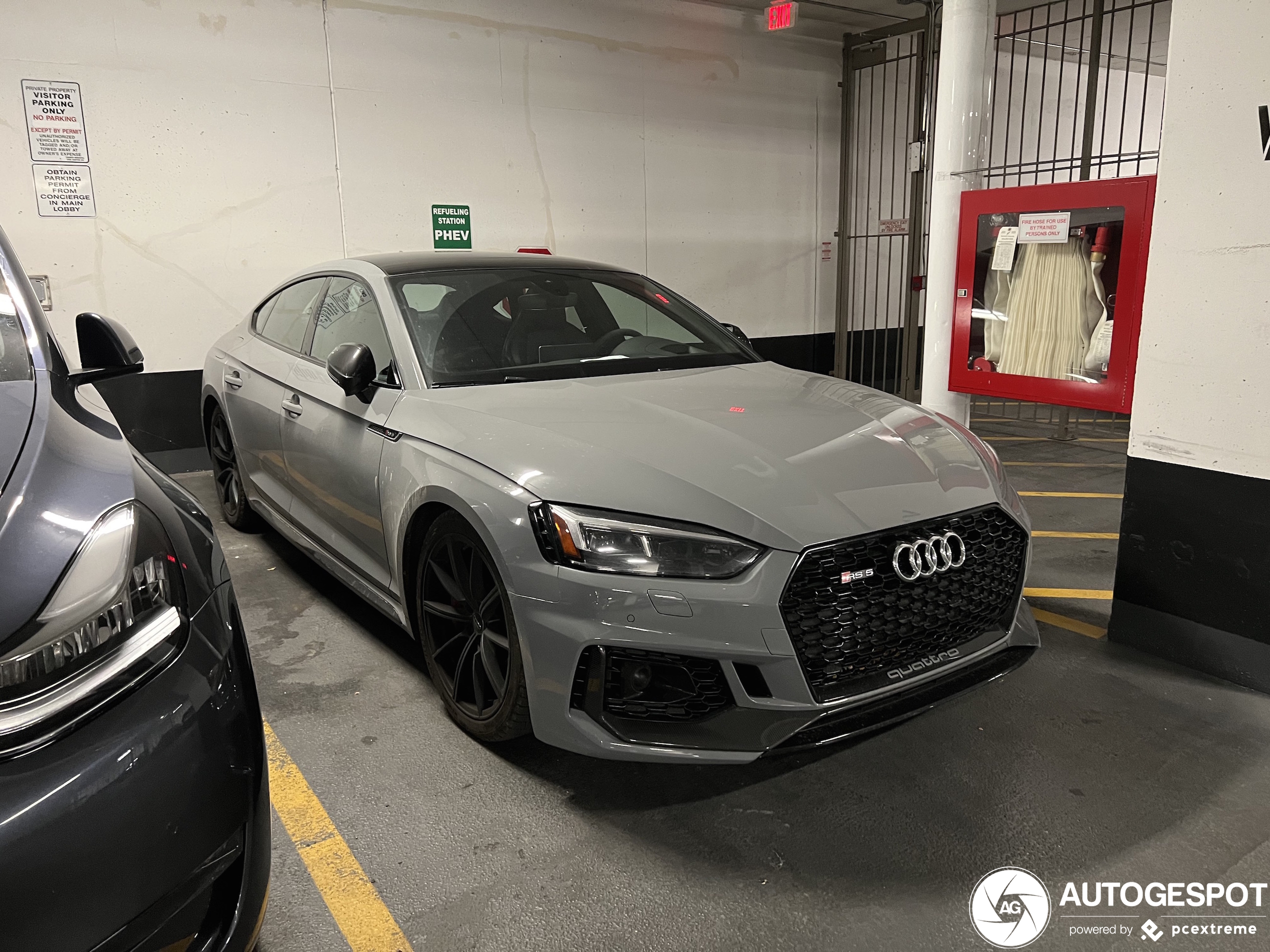 Audi RS5 Sportback B9