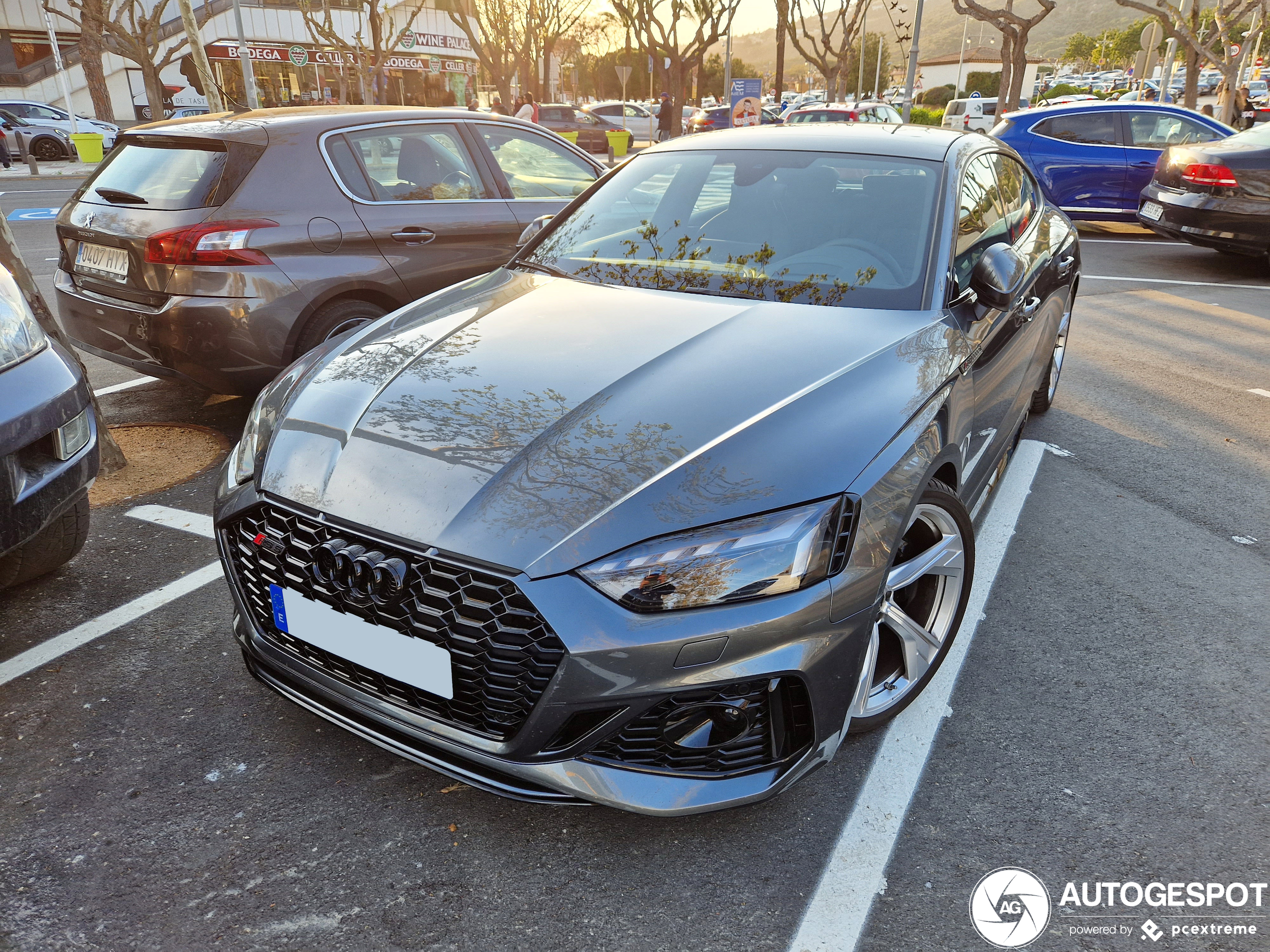 Audi RS5 B9