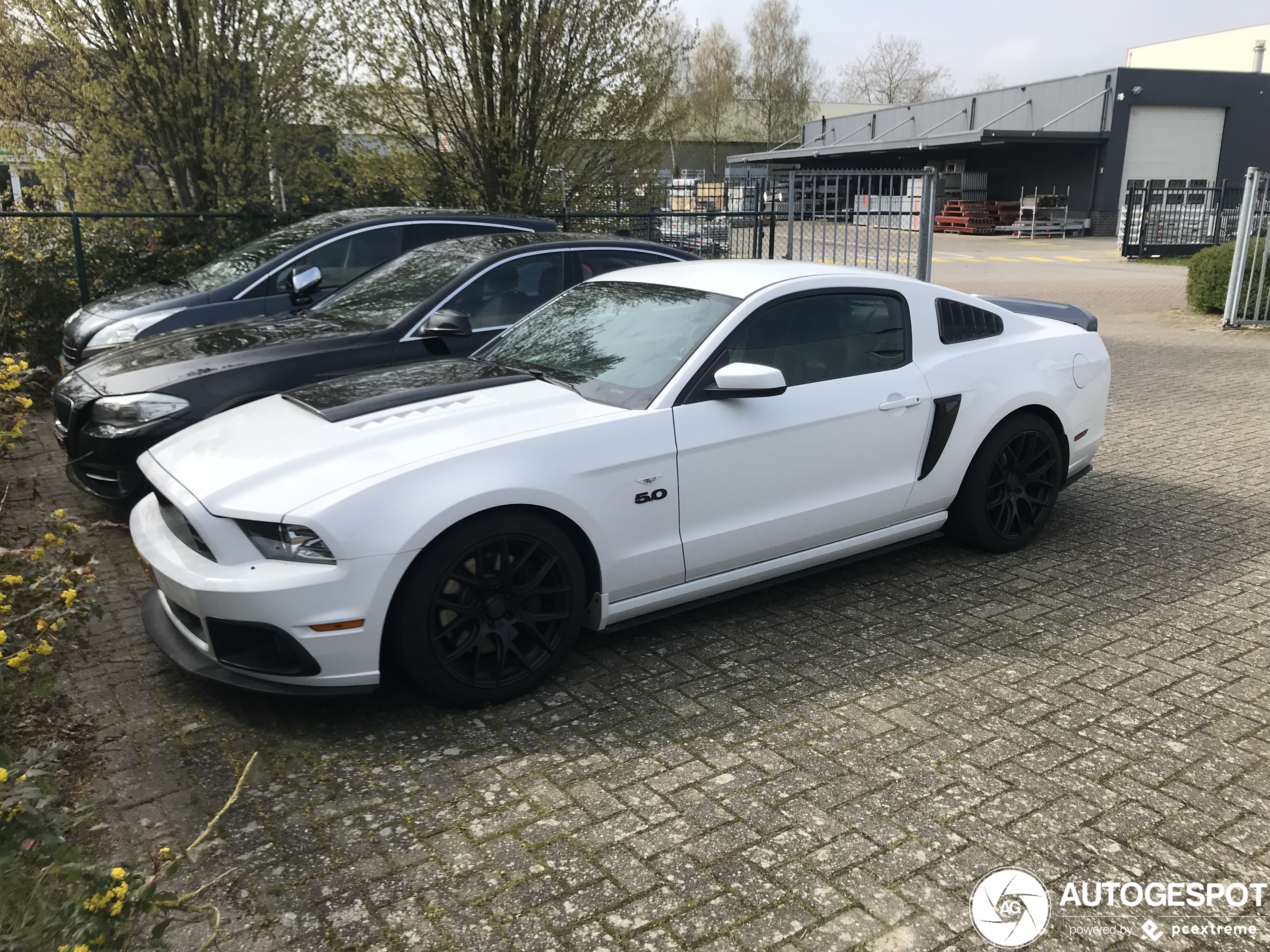 Ford Mustang GT 2013