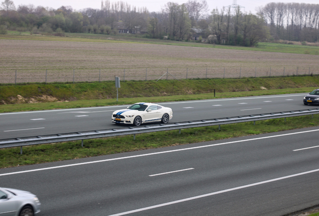 Ford Mustang GT 50th Anniversary Edition