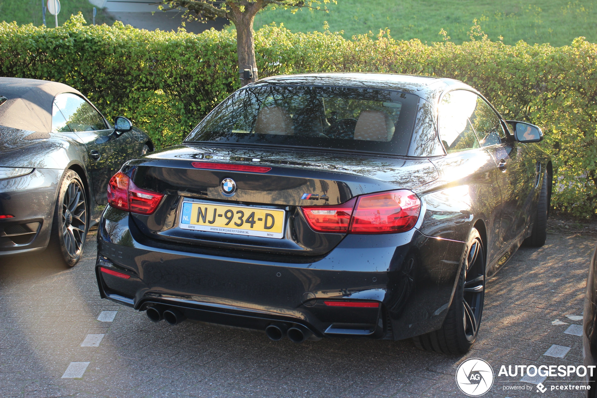 BMW M4 F83 Convertible