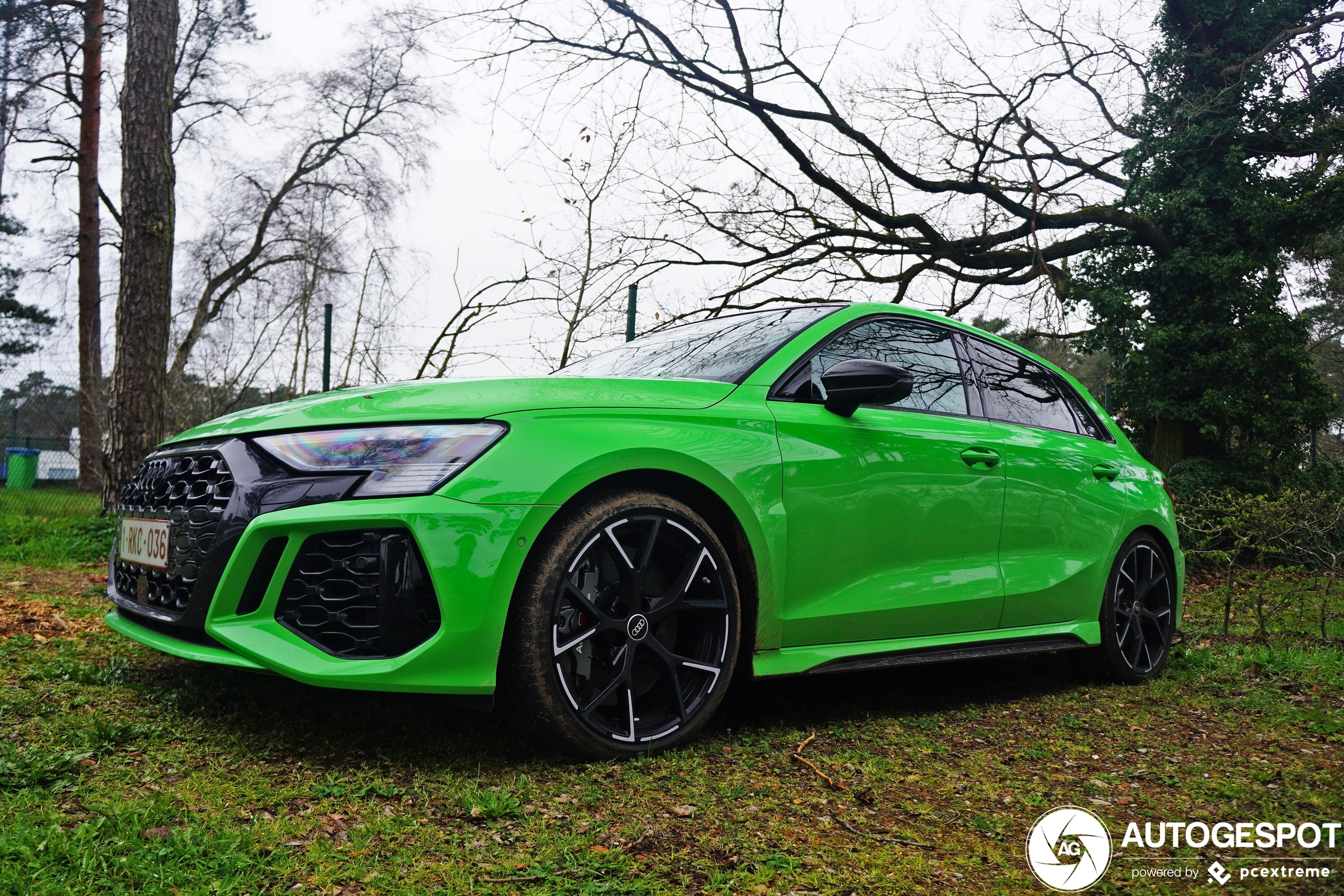 Audi RS3 Sportback 8Y