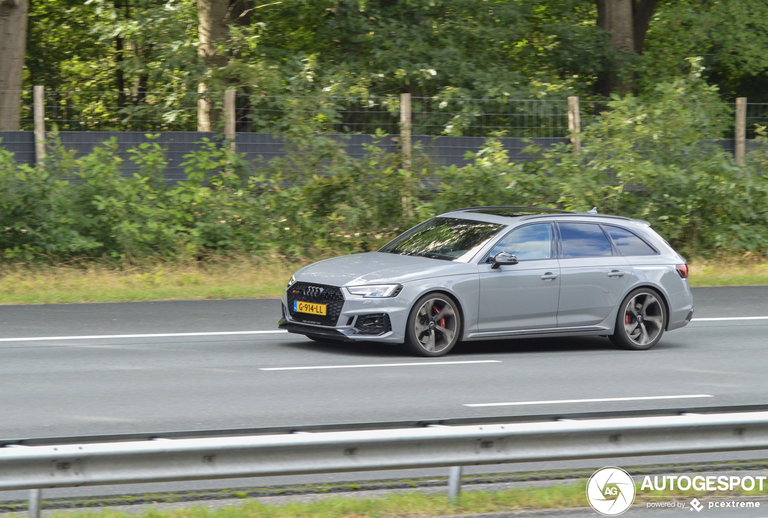 Audi RS4 Avant B9