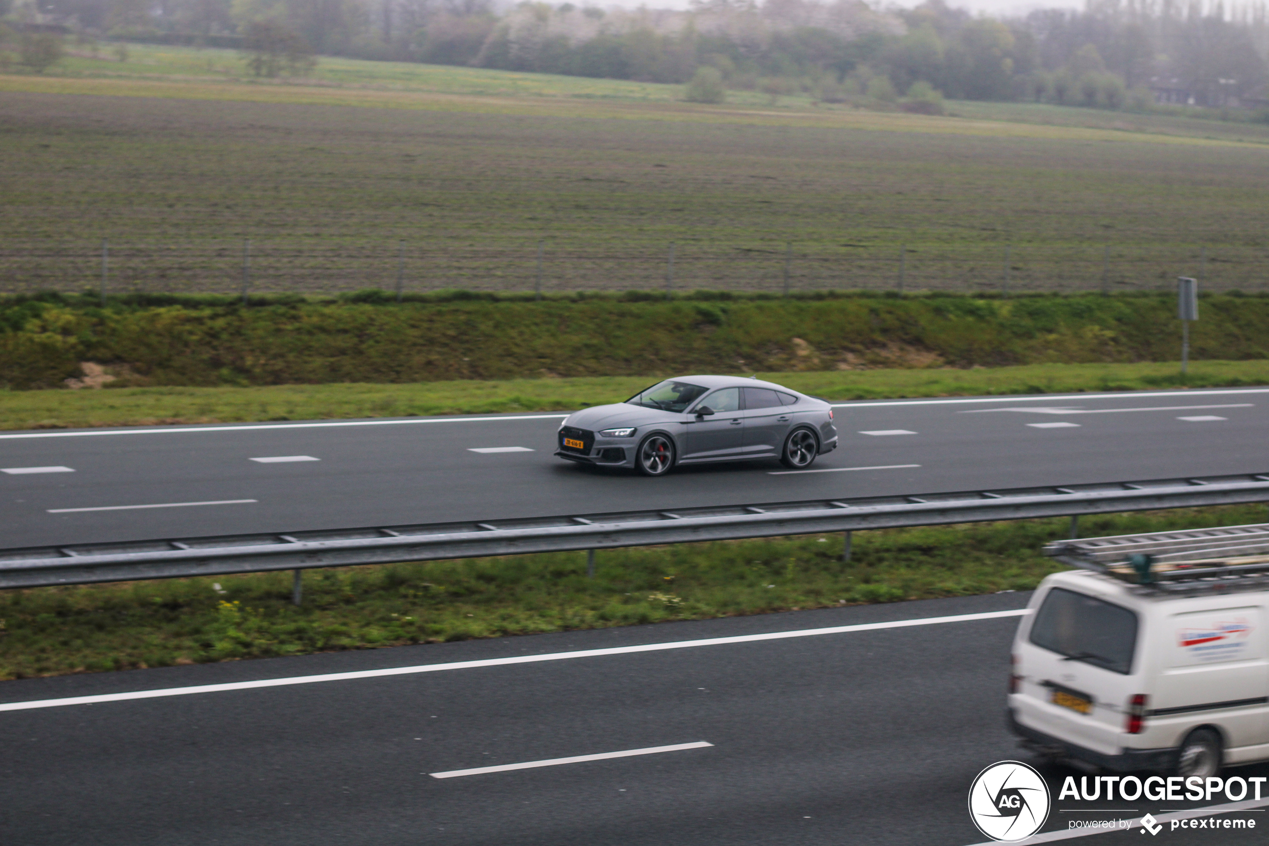 Audi RS5 Sportback B9