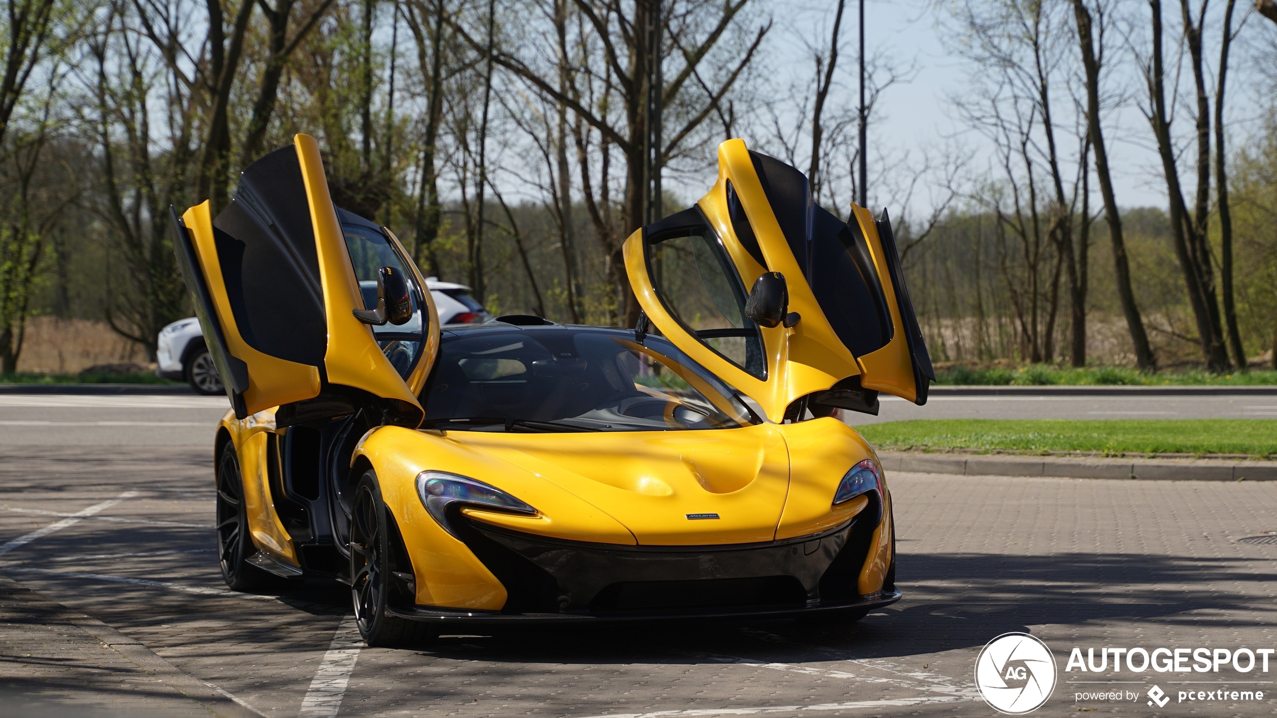 McLaren P1