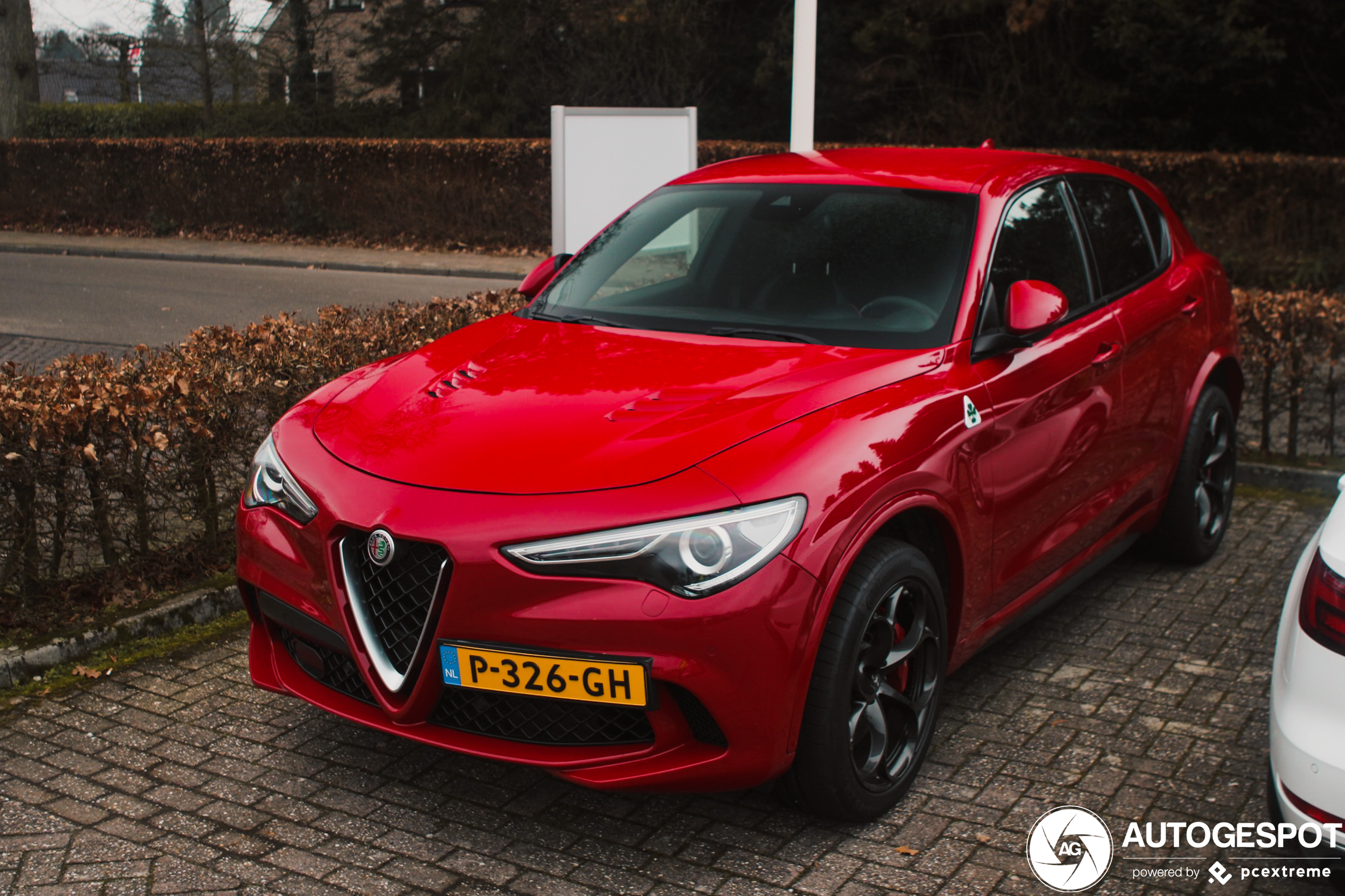 Alfa Romeo Stelvio Quadrifoglio